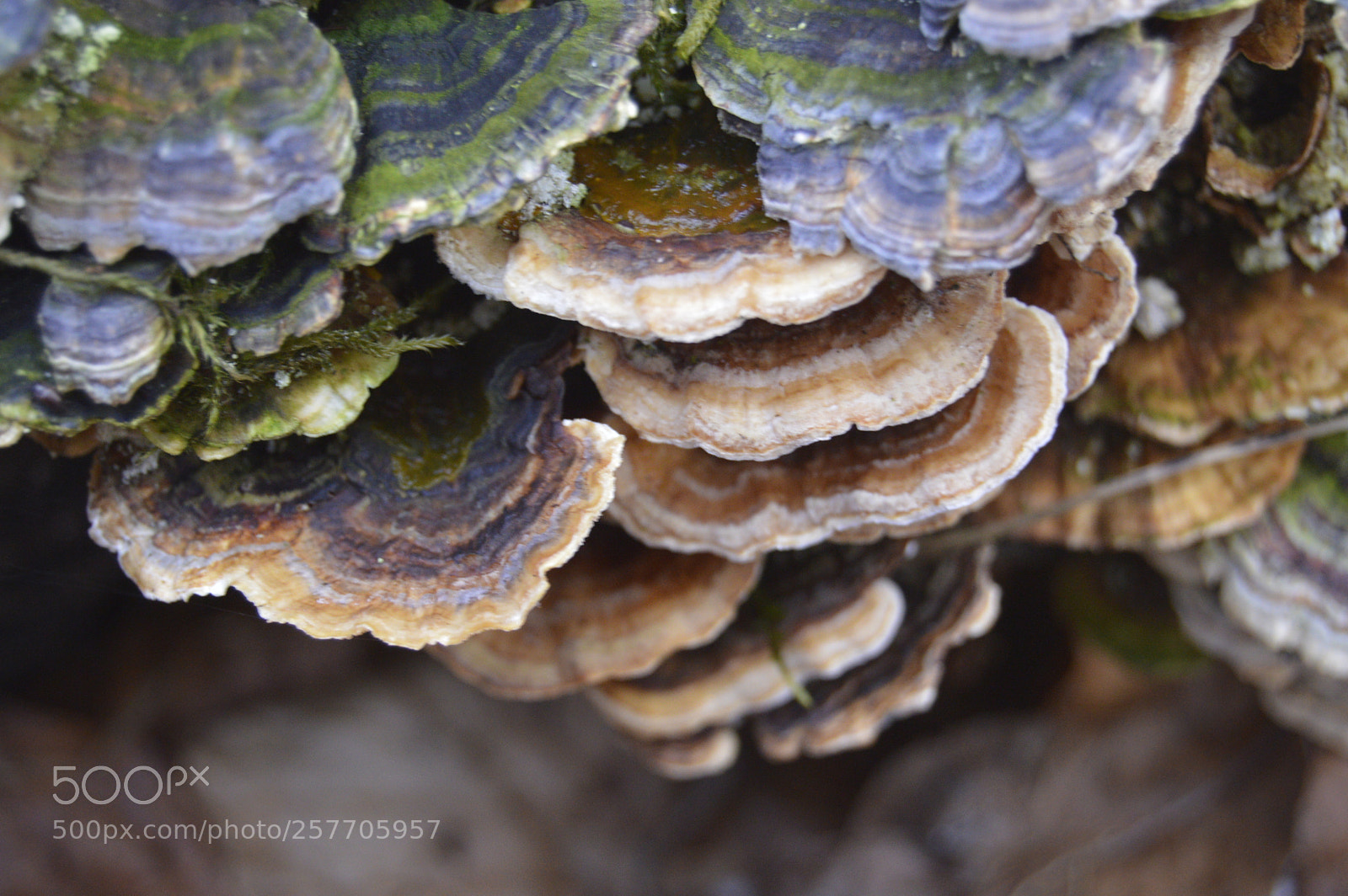 Nikon D3200 sample photo. Dansk natur photography
