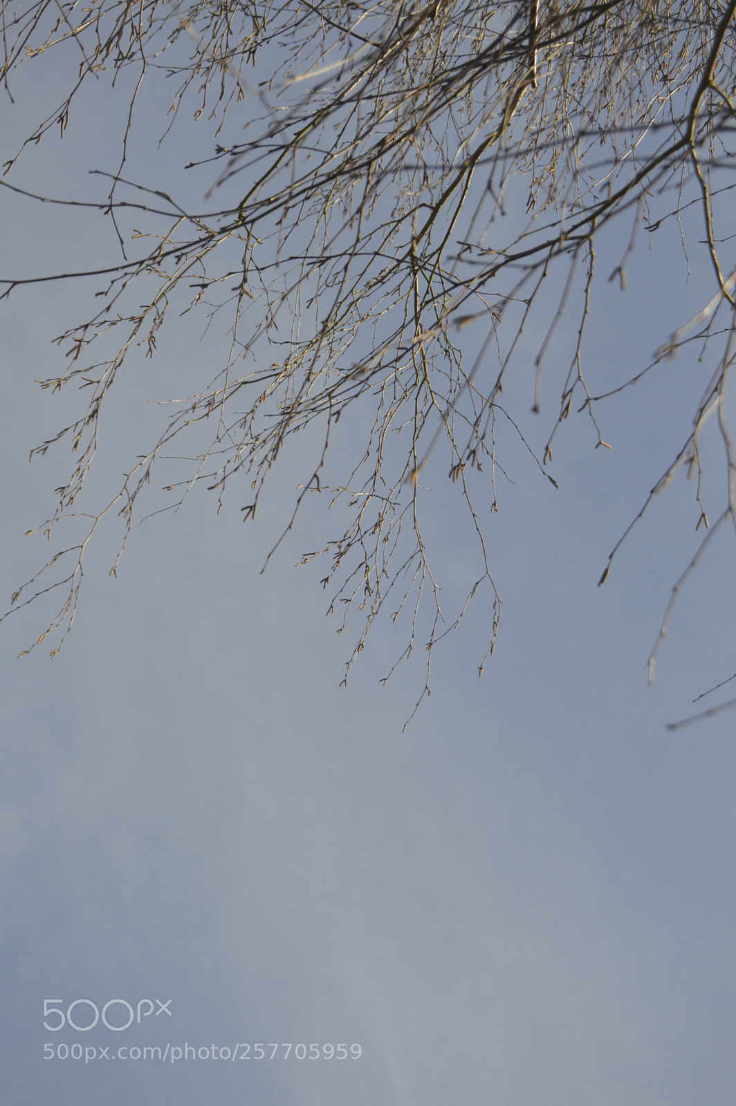 Nikon D3200 sample photo. Dansk natur photography