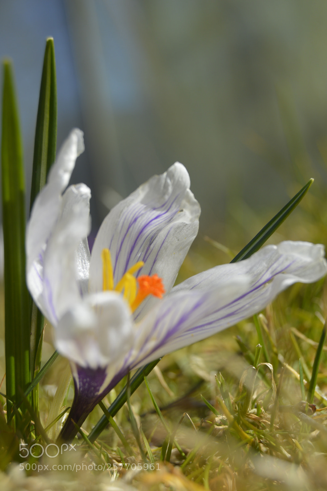 Nikon D3200 sample photo. Dansk natur photography