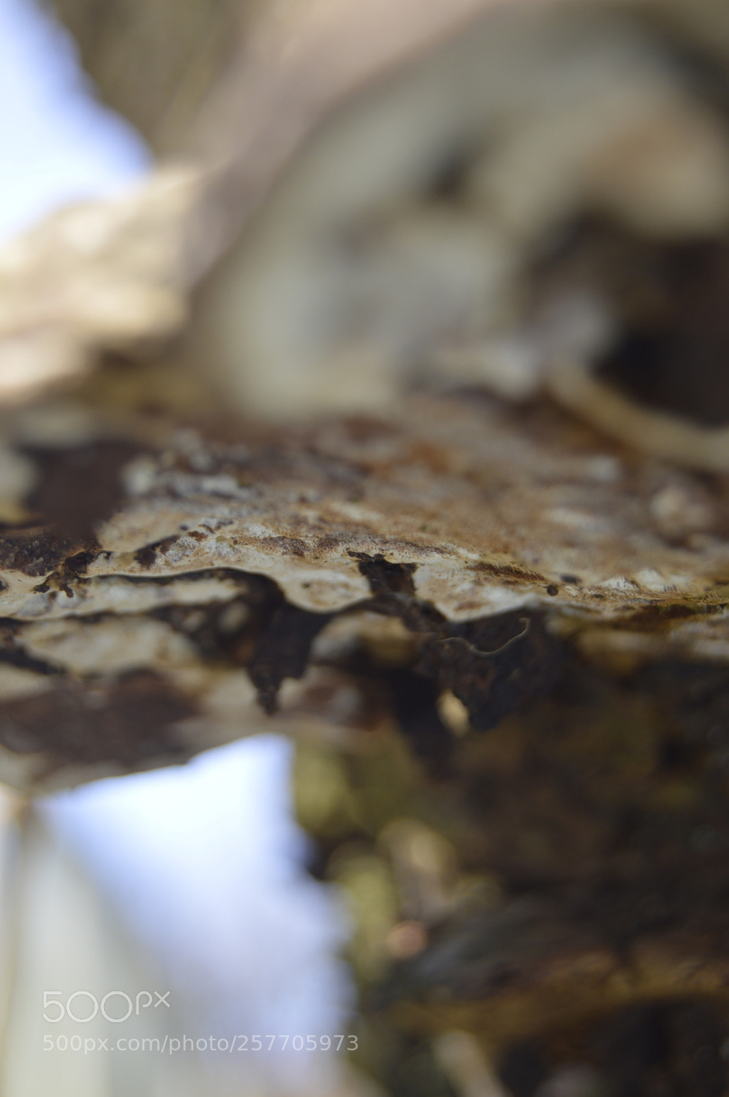 Nikon D3200 sample photo. Dansk natur photography