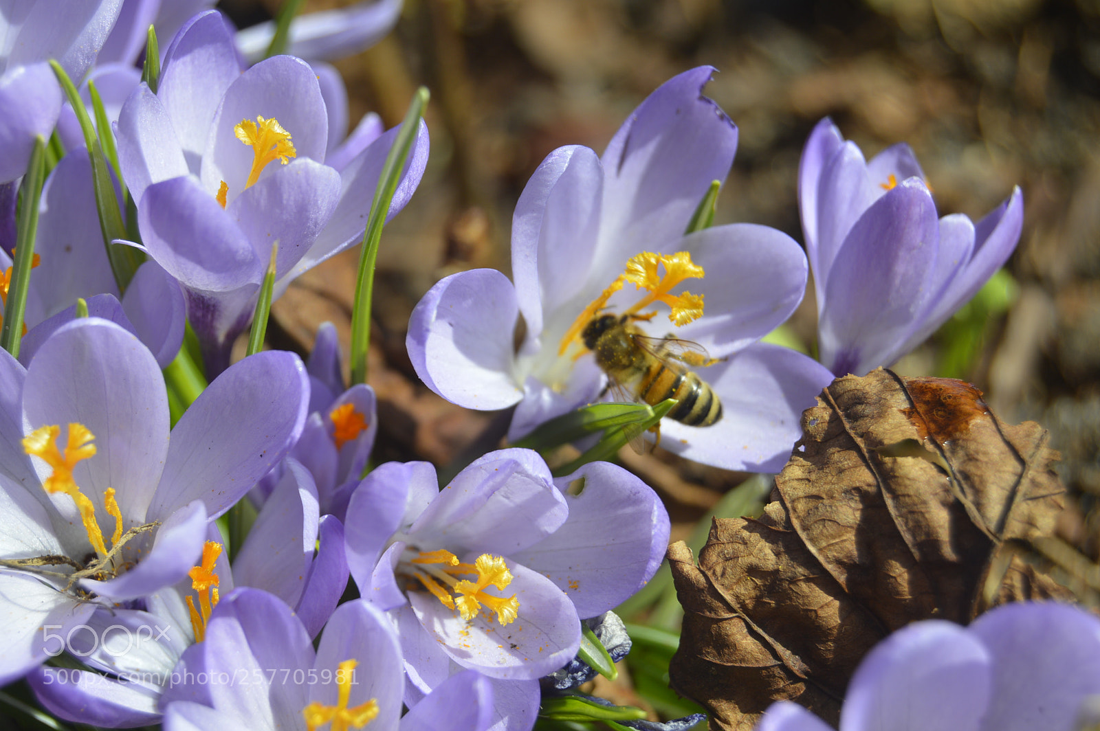 Nikon D3200 sample photo. Dansk natur photography