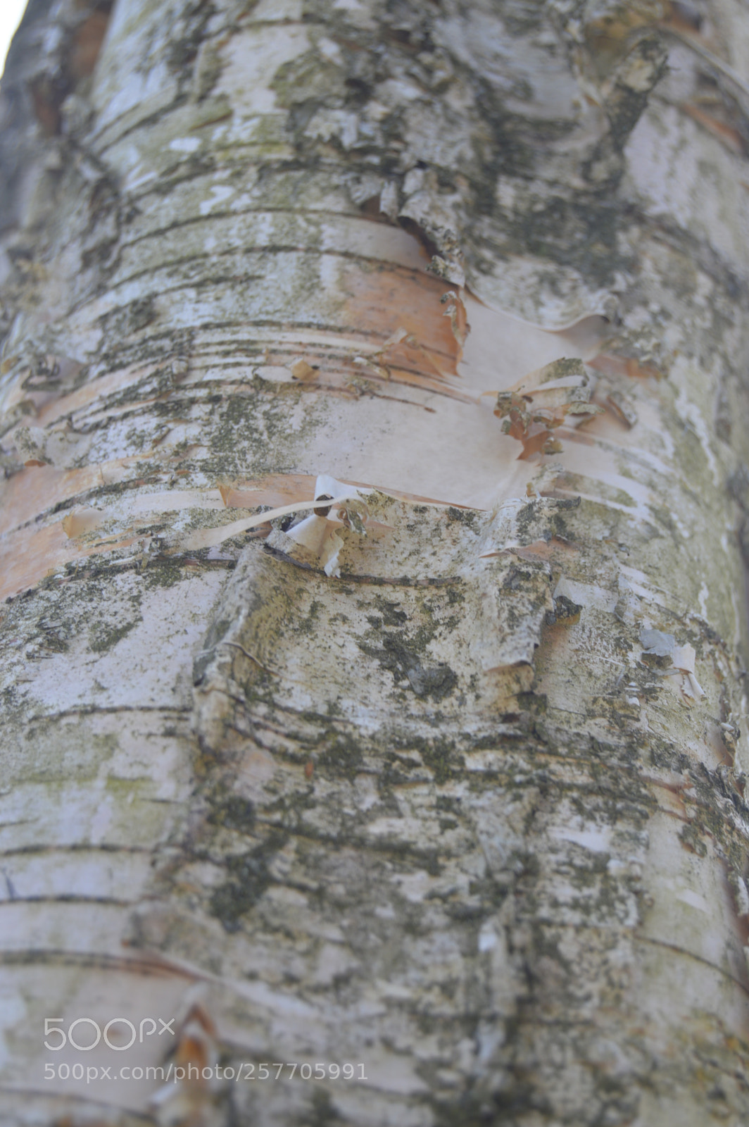 Nikon D3200 sample photo. Dansk natur photography