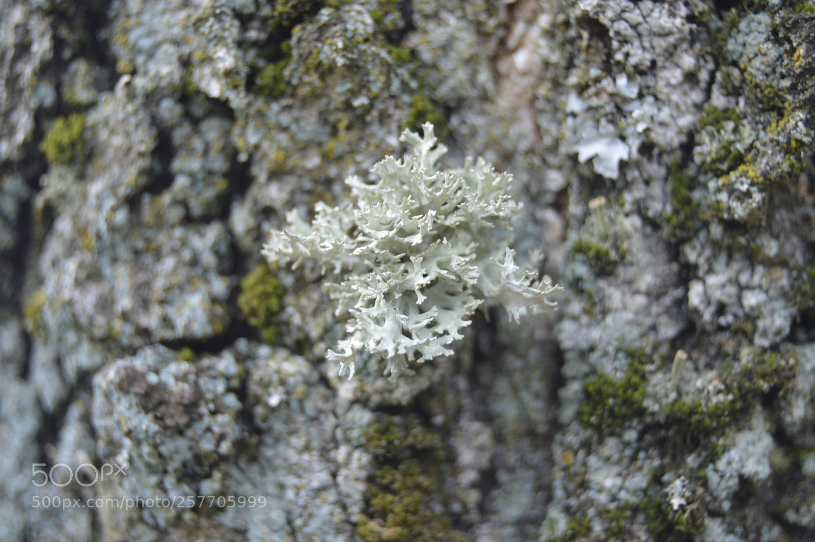 Nikon D3200 sample photo. Dansk natur photography