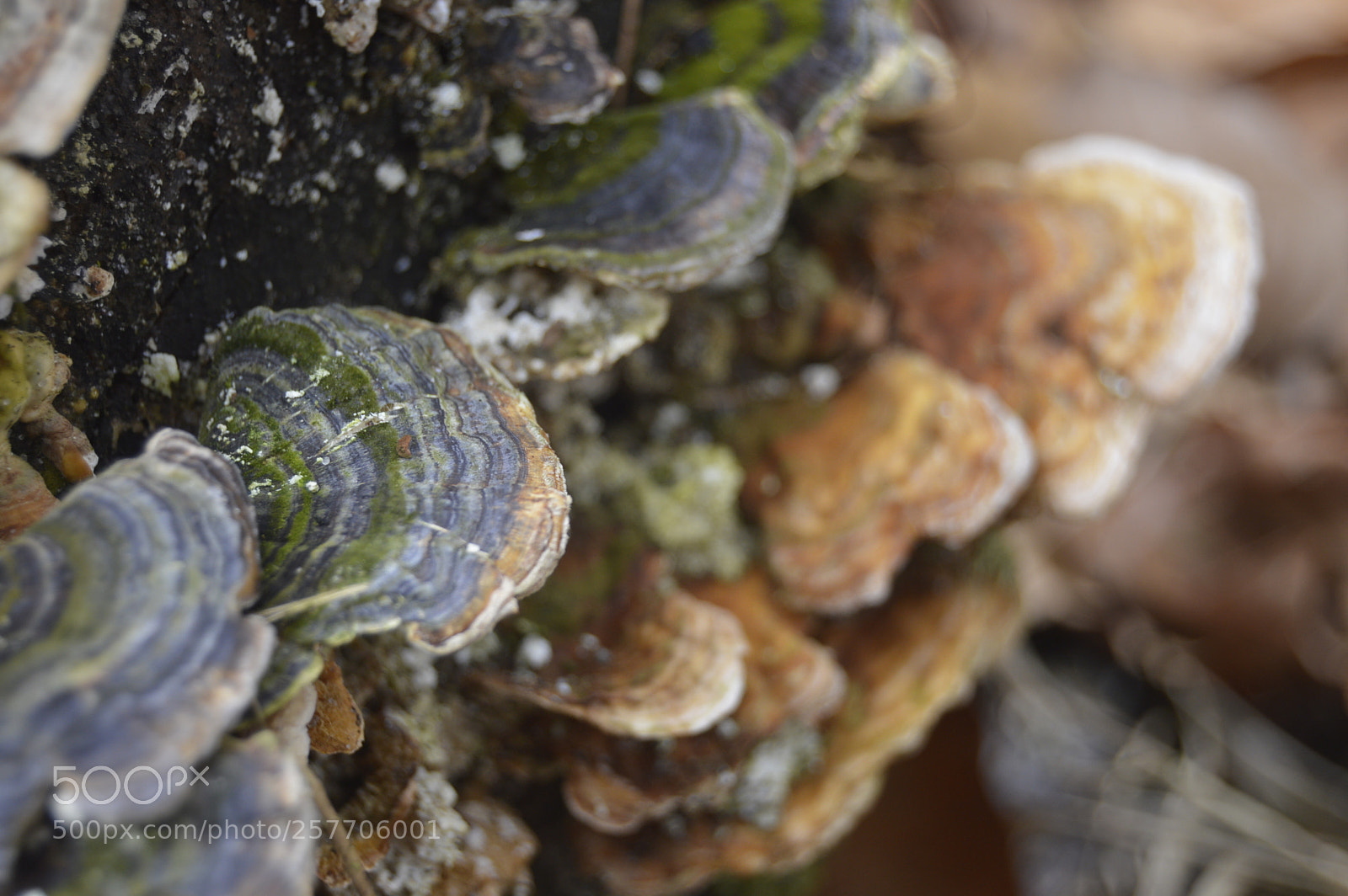 Nikon D3200 sample photo. Dansk natur photography