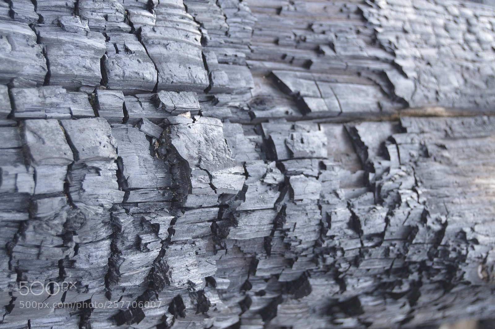 Nikon D3200 sample photo. Dansk natur photography