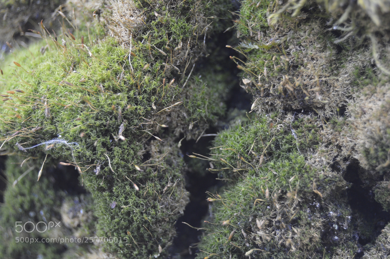 Nikon D3200 sample photo. Dansk natur photography