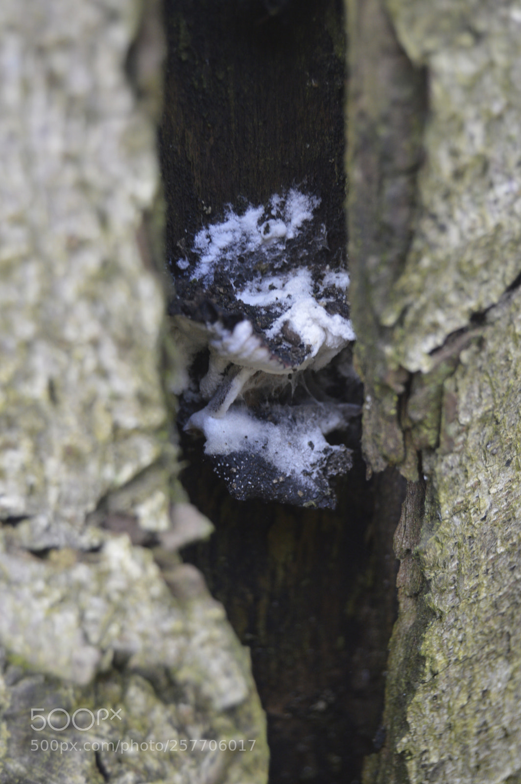 Nikon D3200 sample photo. Dansk natur photography
