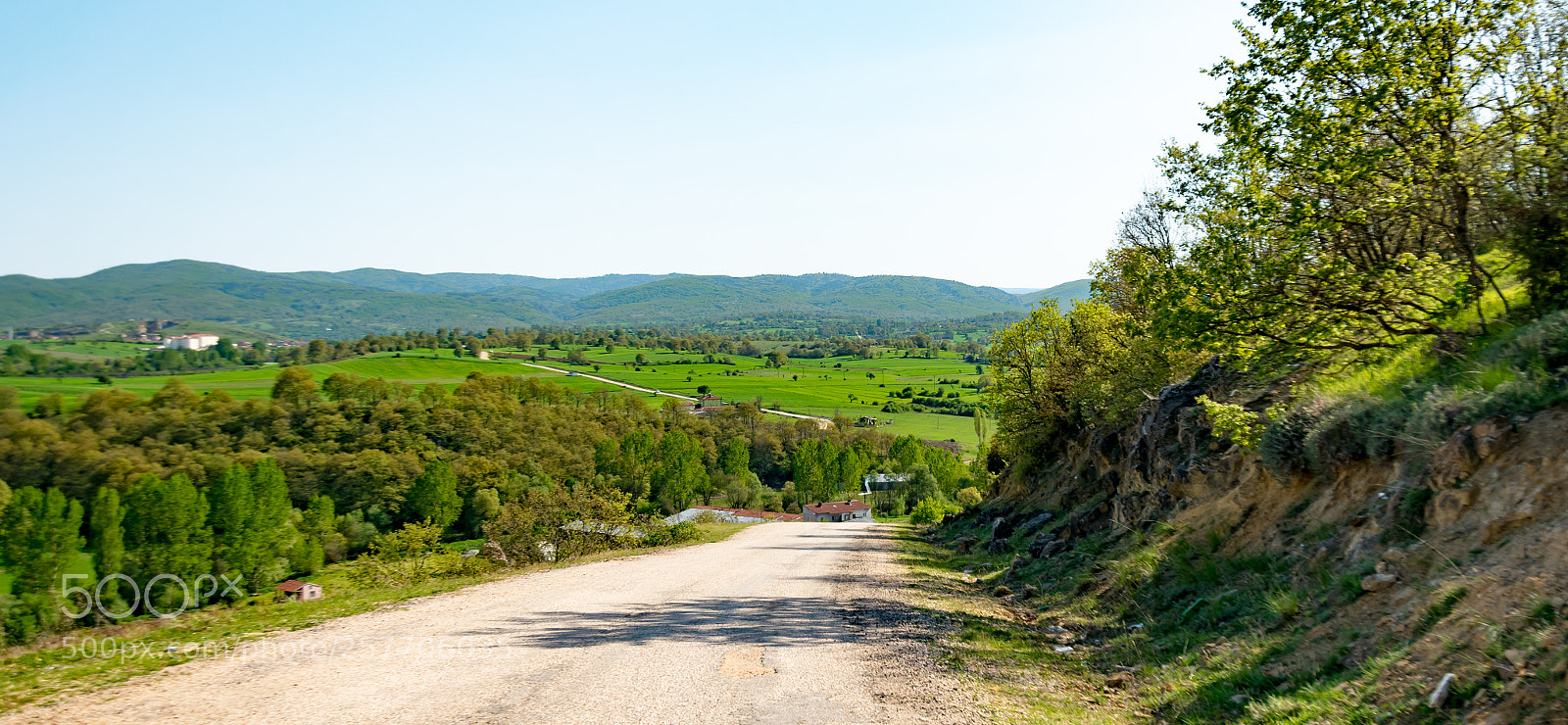 Nikon D5300 sample photo. Green photography
