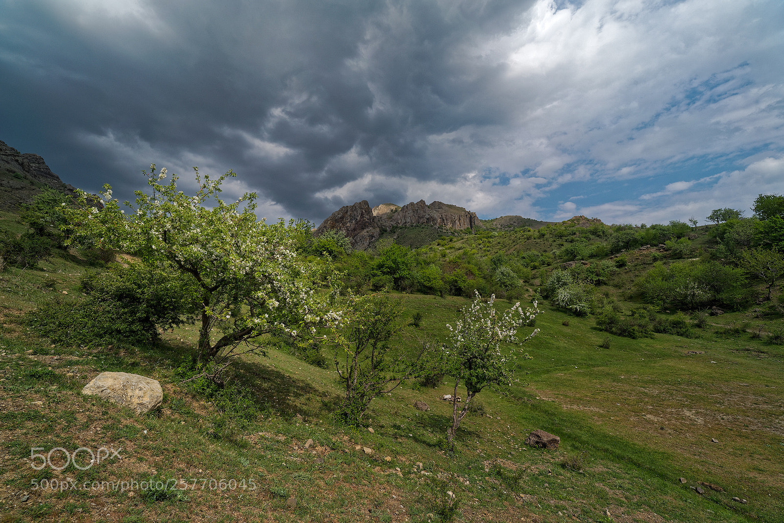 Pentax K-1 sample photo. Зеленогорье / greenlands photography