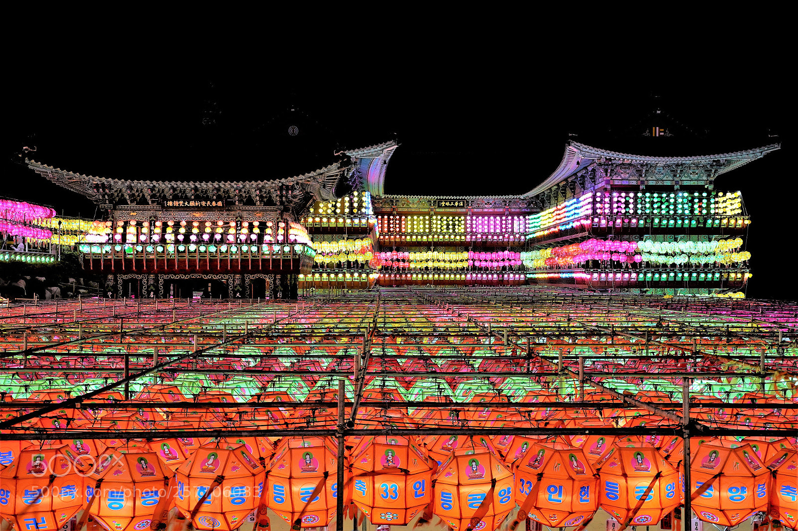 Sony a9 sample photo. _dsc3746-1.jpg photography