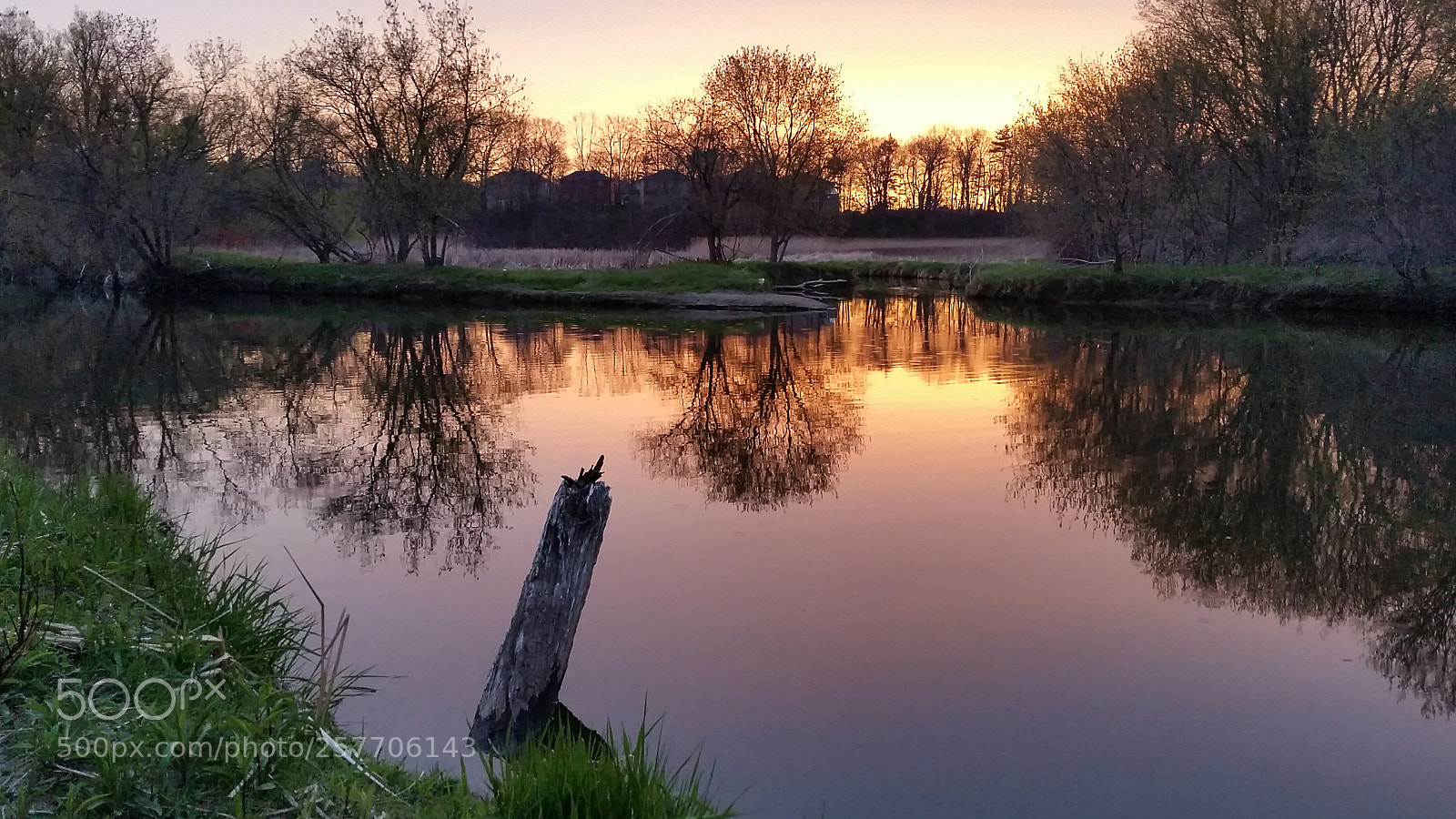 Samsung Galaxy S5 sample photo. Stump photography