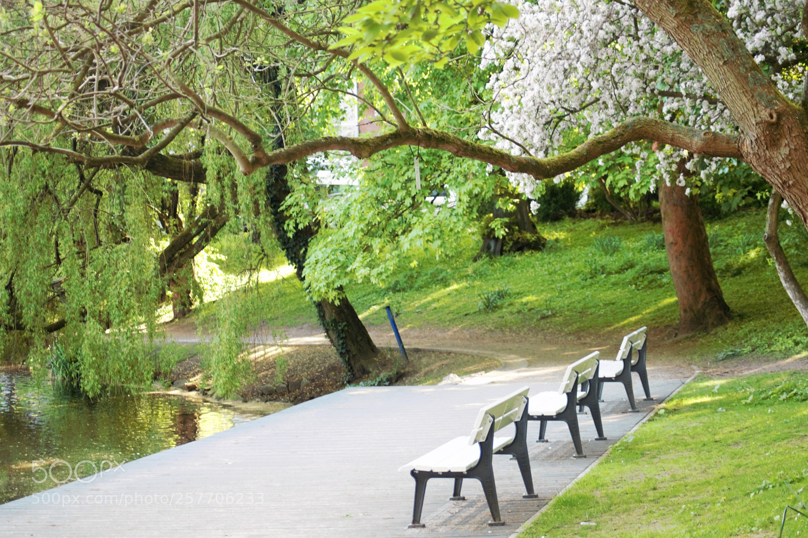 Canon EOS 100D (EOS Rebel SL1 / EOS Kiss X7) sample photo. Three vacant benches photography