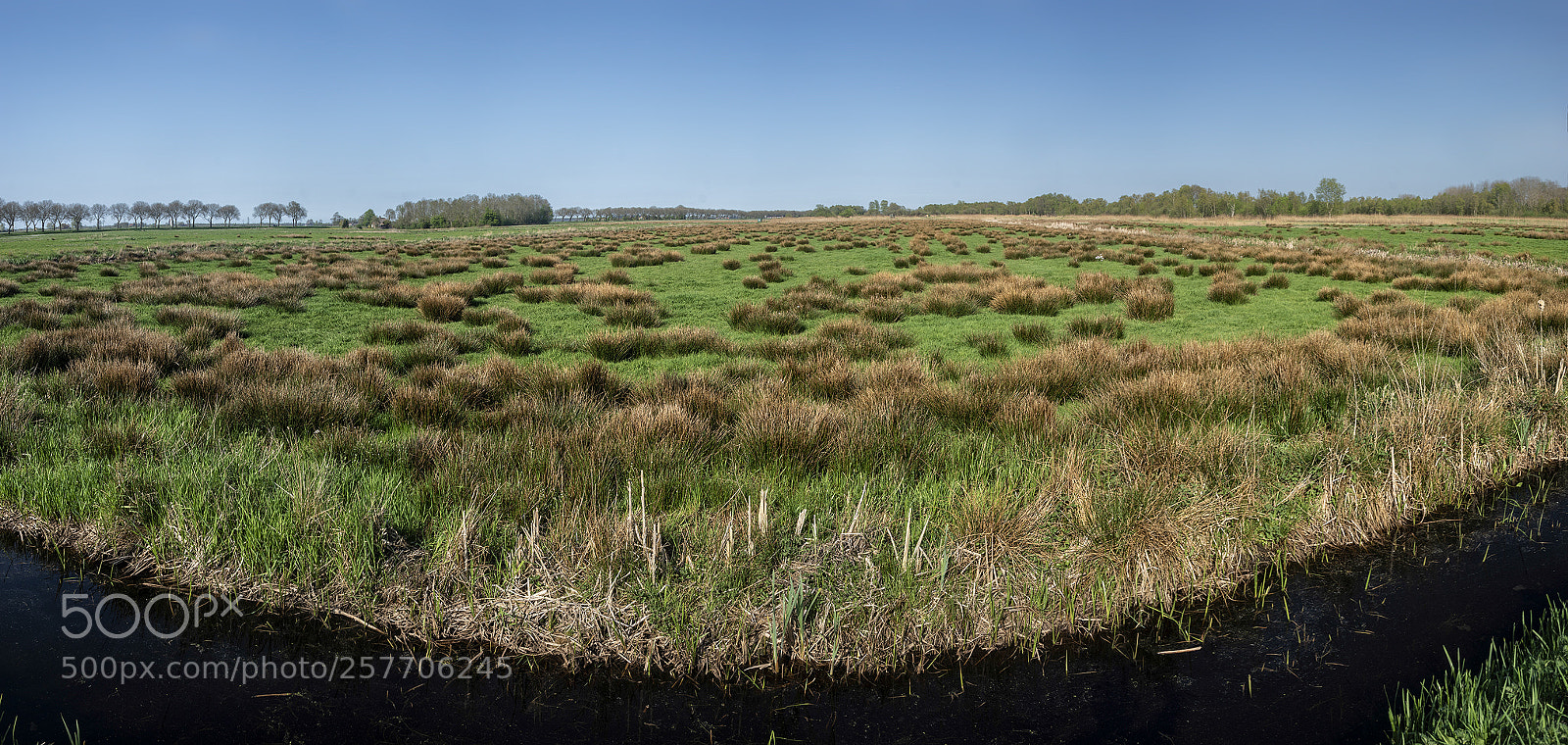 Sony ILCA-77M2 sample photo. Ossenzijl, weerribben photography