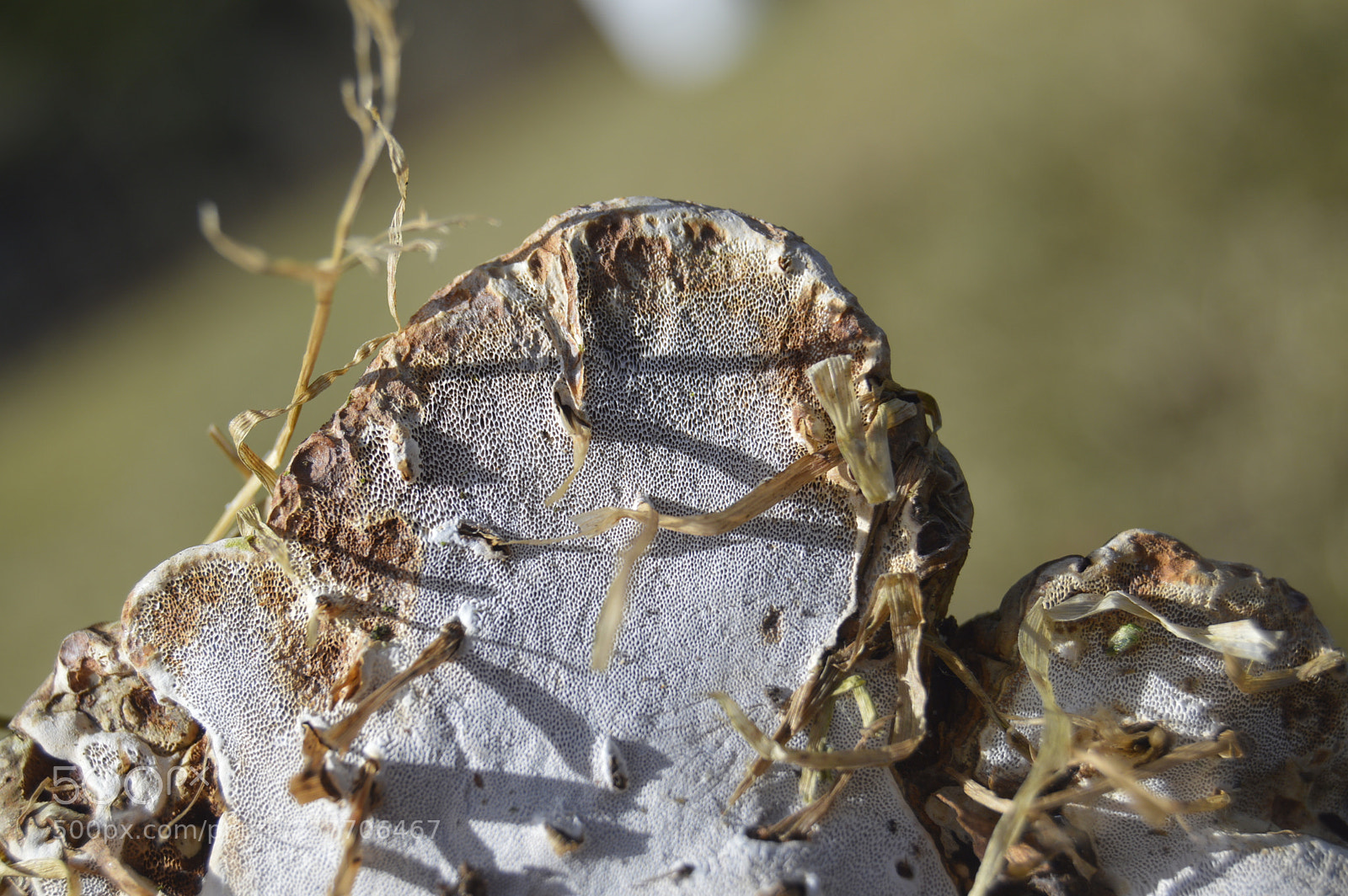 Nikon D3200 sample photo. Dansk netur photography