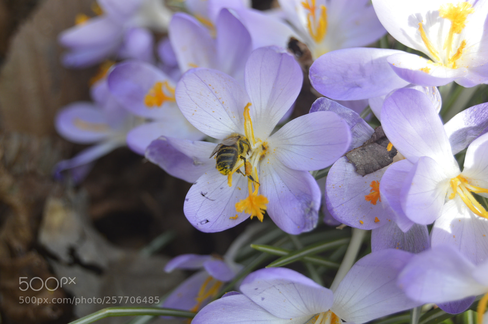 Nikon D3200 sample photo. Dansk netur photography