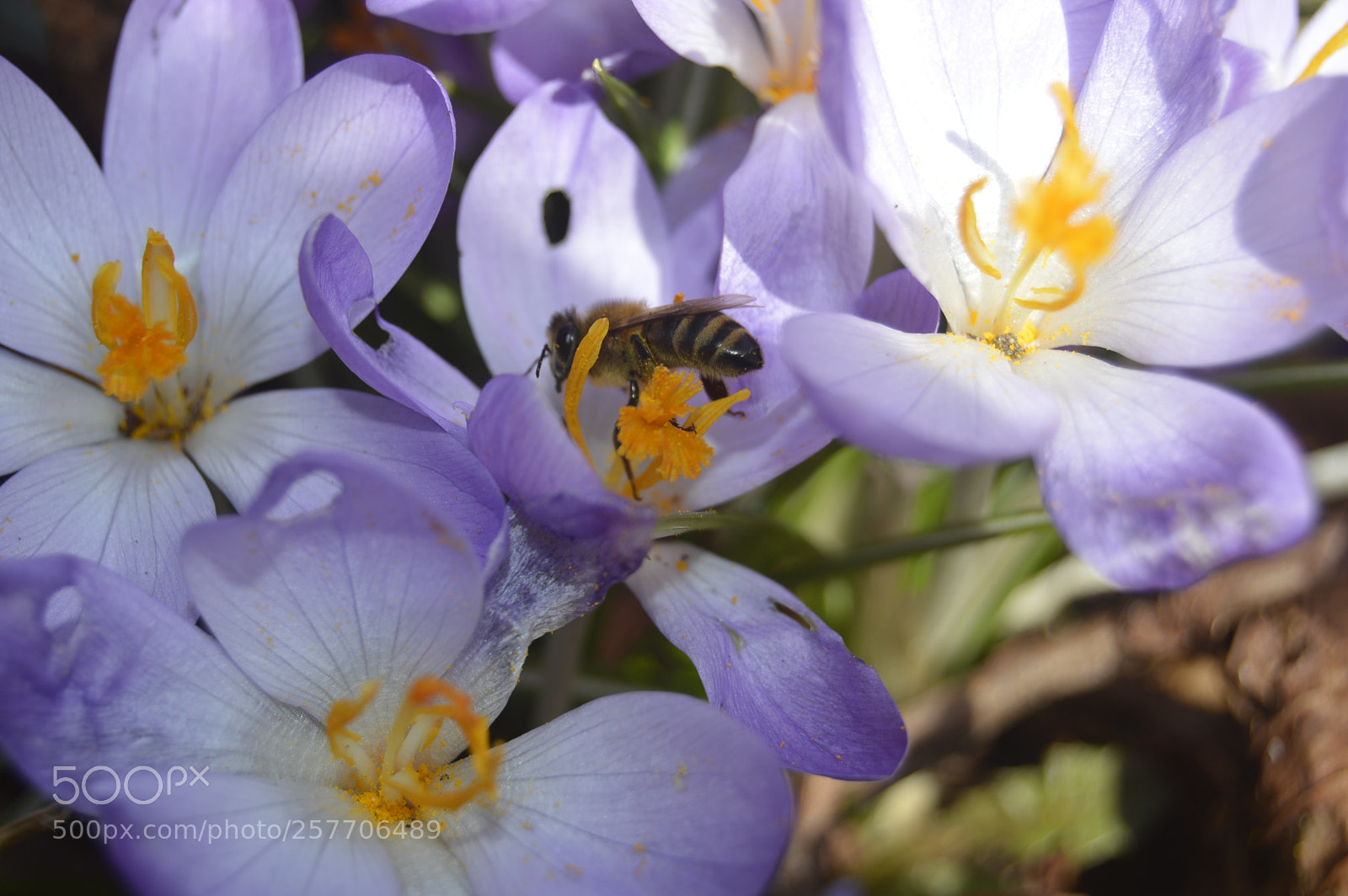 Nikon D3200 sample photo. Dansk netur photography