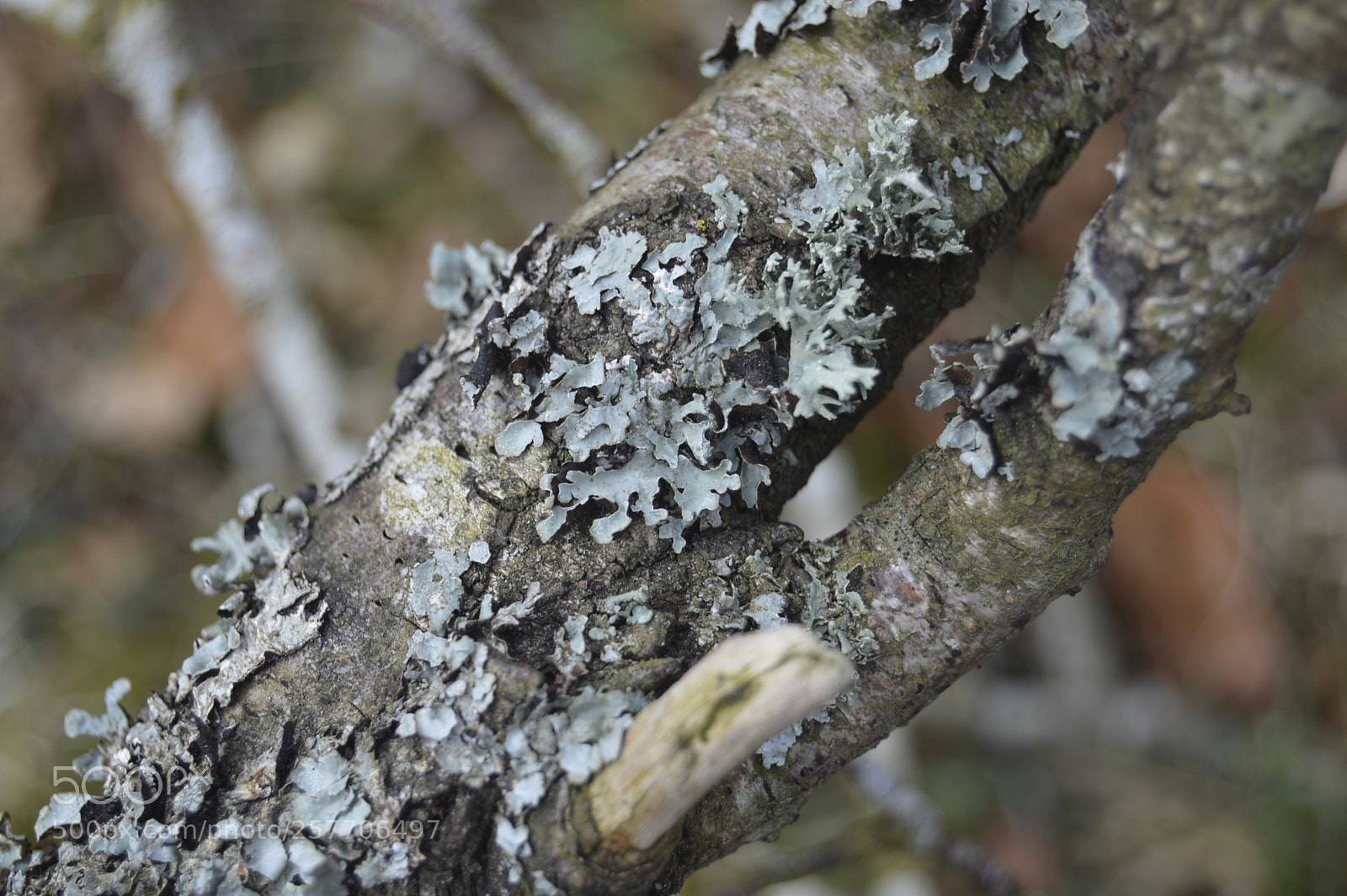Nikon D3200 sample photo. Dansk netur photography