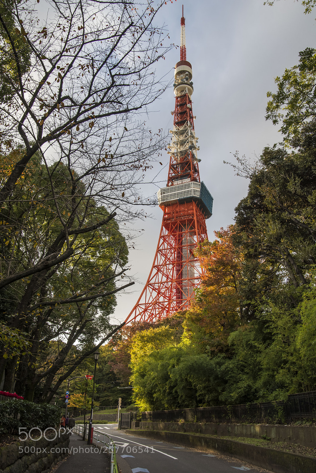 Nikon D610 sample photo. The promenade photography