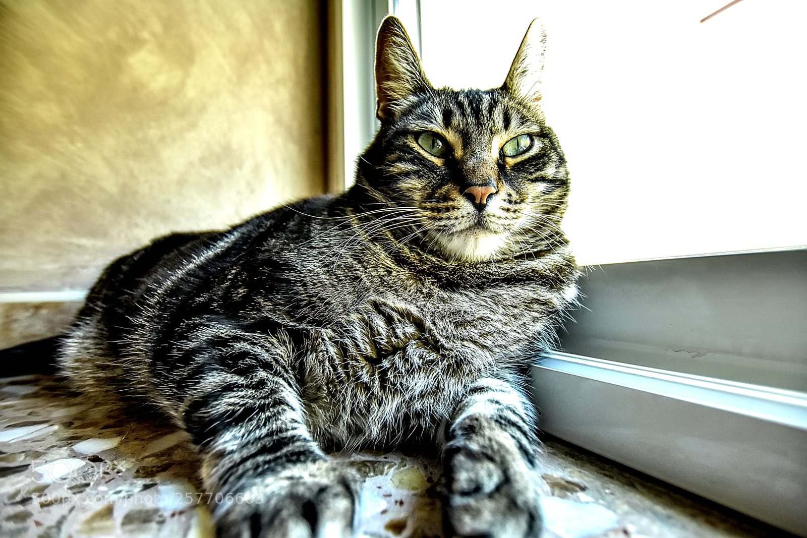 Nikon D7200 sample photo. Dsc photography