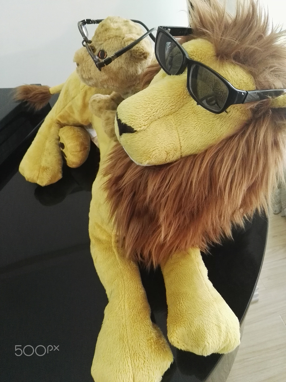 HUAWEI P8 sample photo. Pets in sunglasses photography