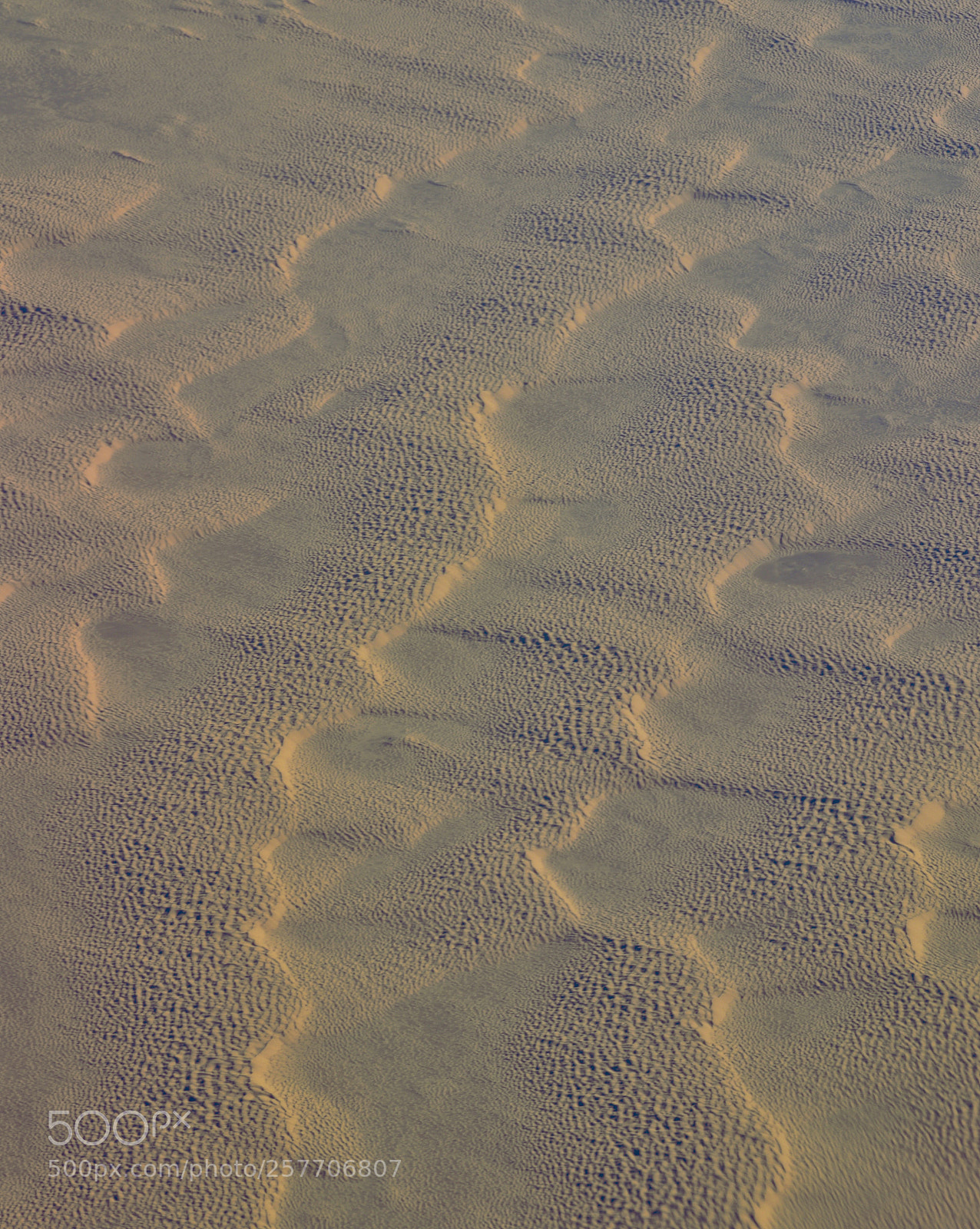 Nikon D3200 sample photo. Sahara photography