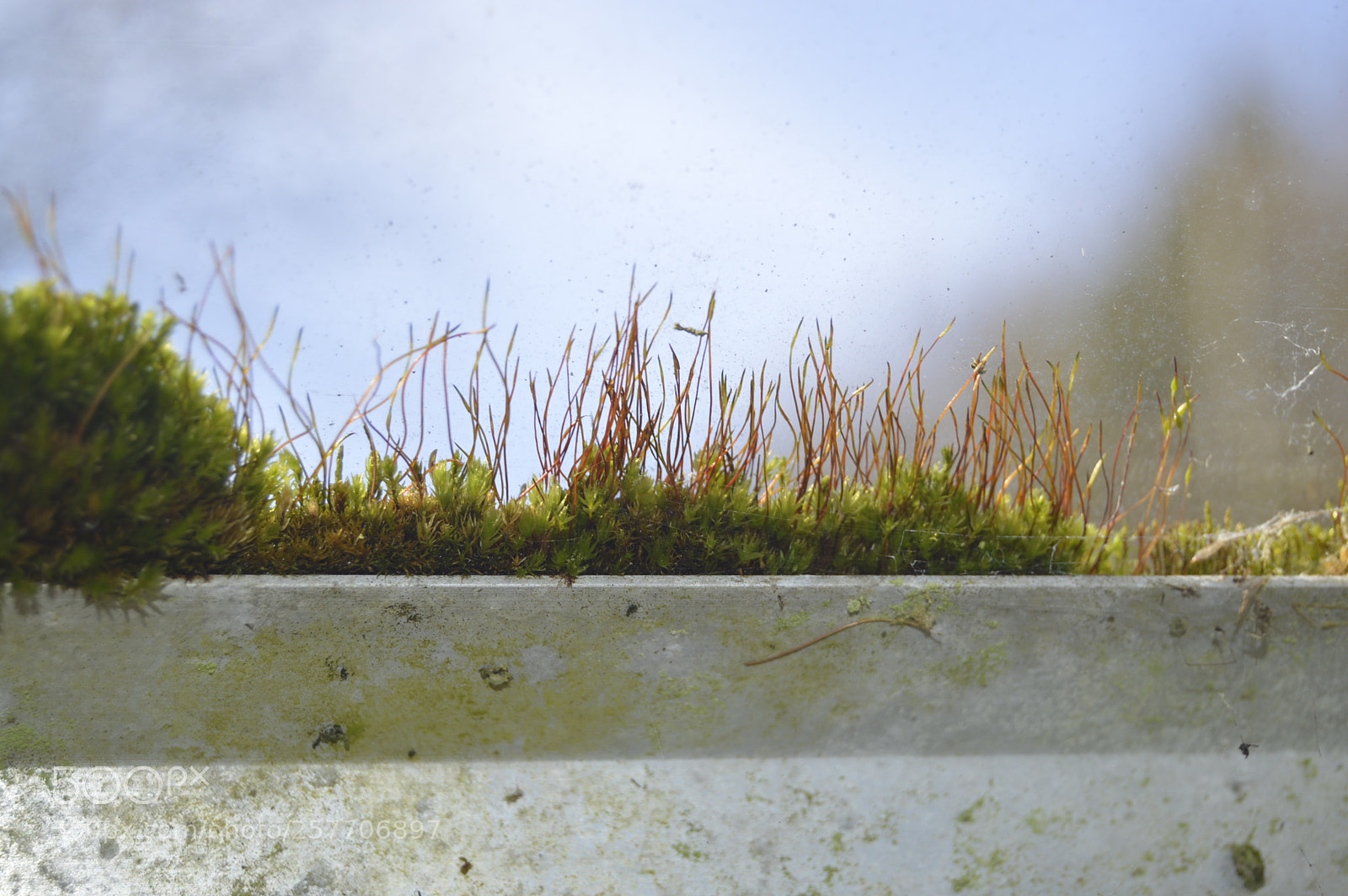 Nikon D3200 sample photo. Dansk natur photography