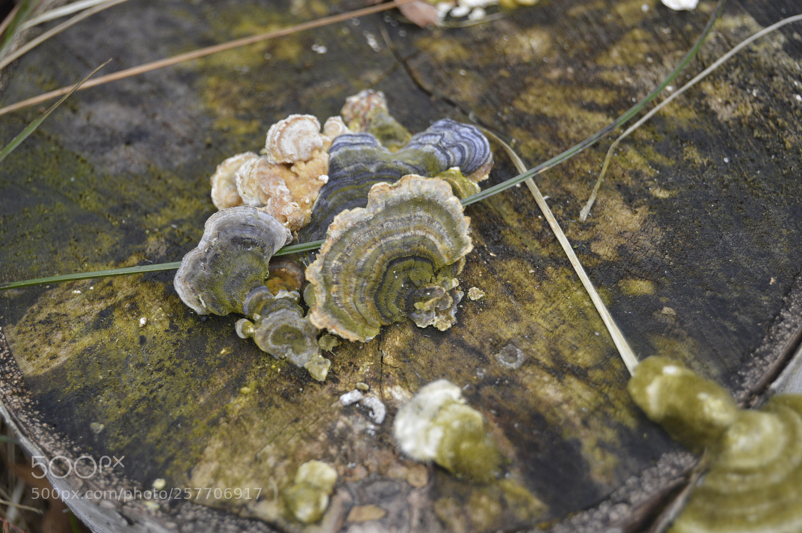 Nikon D3200 sample photo. Dansk natur photography