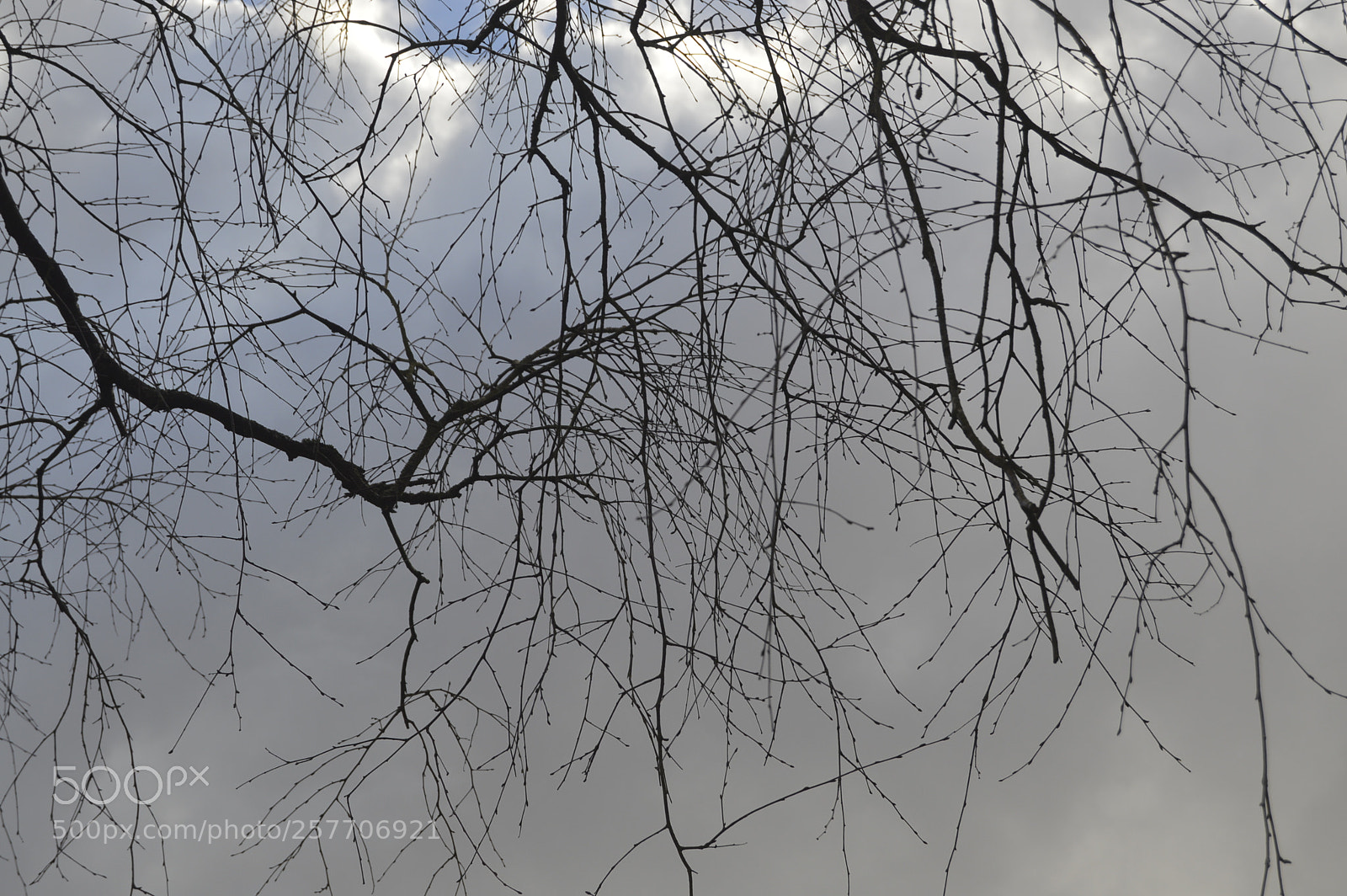 Nikon D3200 sample photo. Dansk natur photography