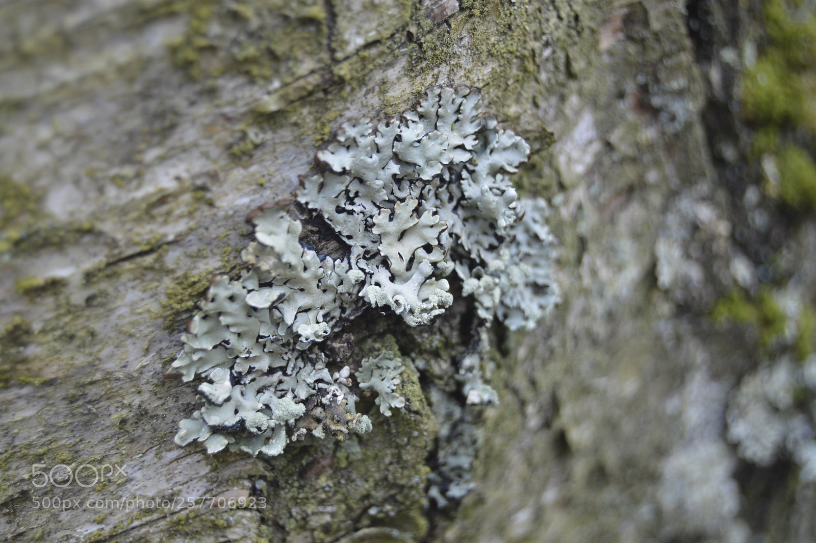Nikon D3200 sample photo. Dansk natur photography