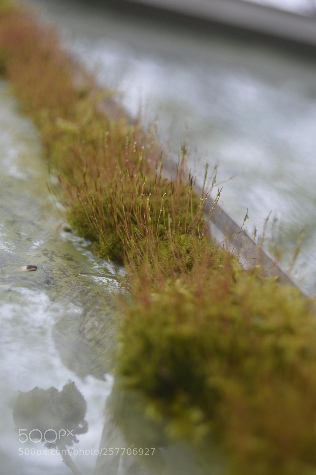 Nikon D3200 sample photo. Dansk natur photography