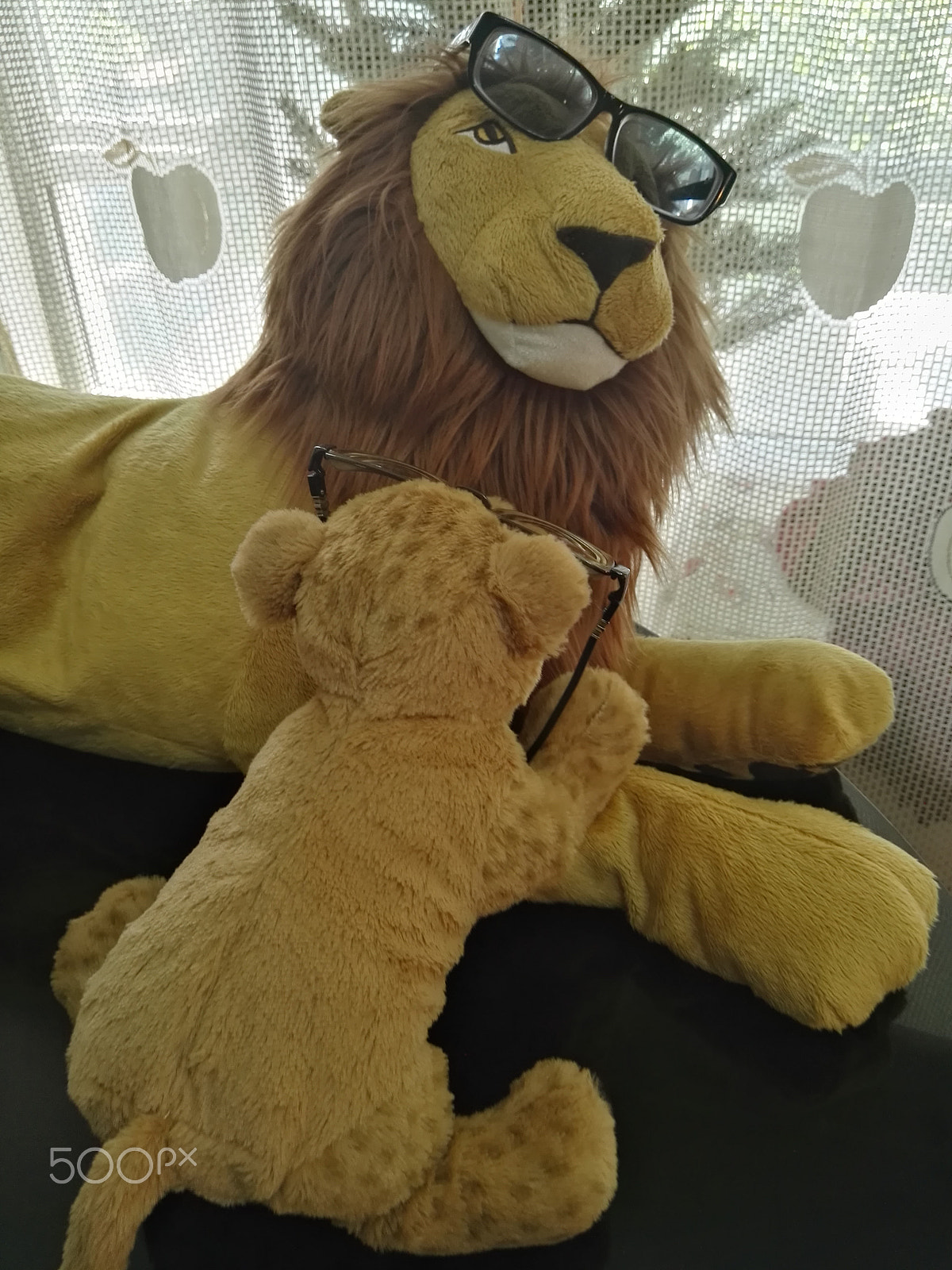 HUAWEI P8 sample photo. Pets in sunglasses photography