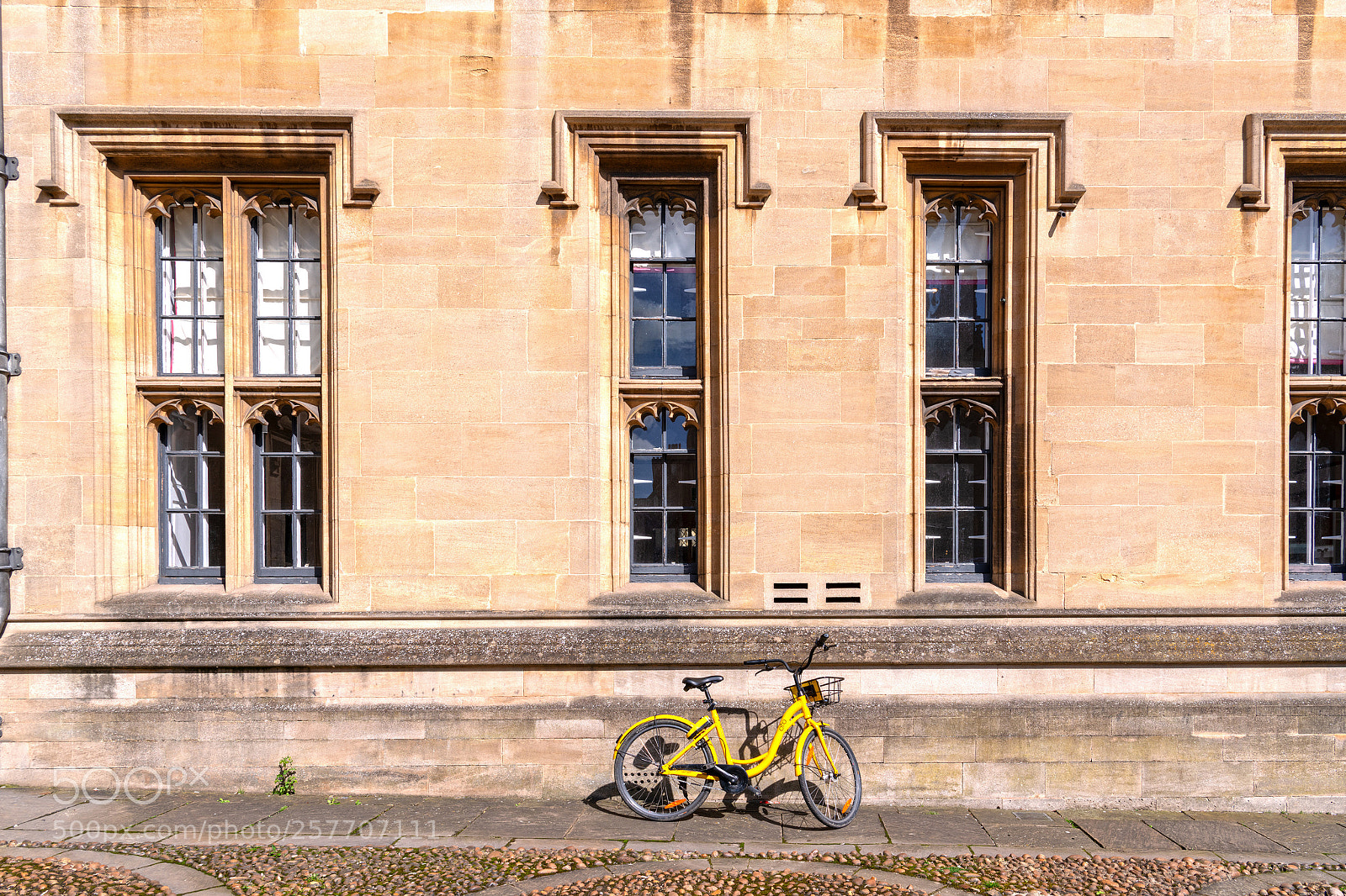 Nikon D850 sample photo. Shared bikes at oxford photography