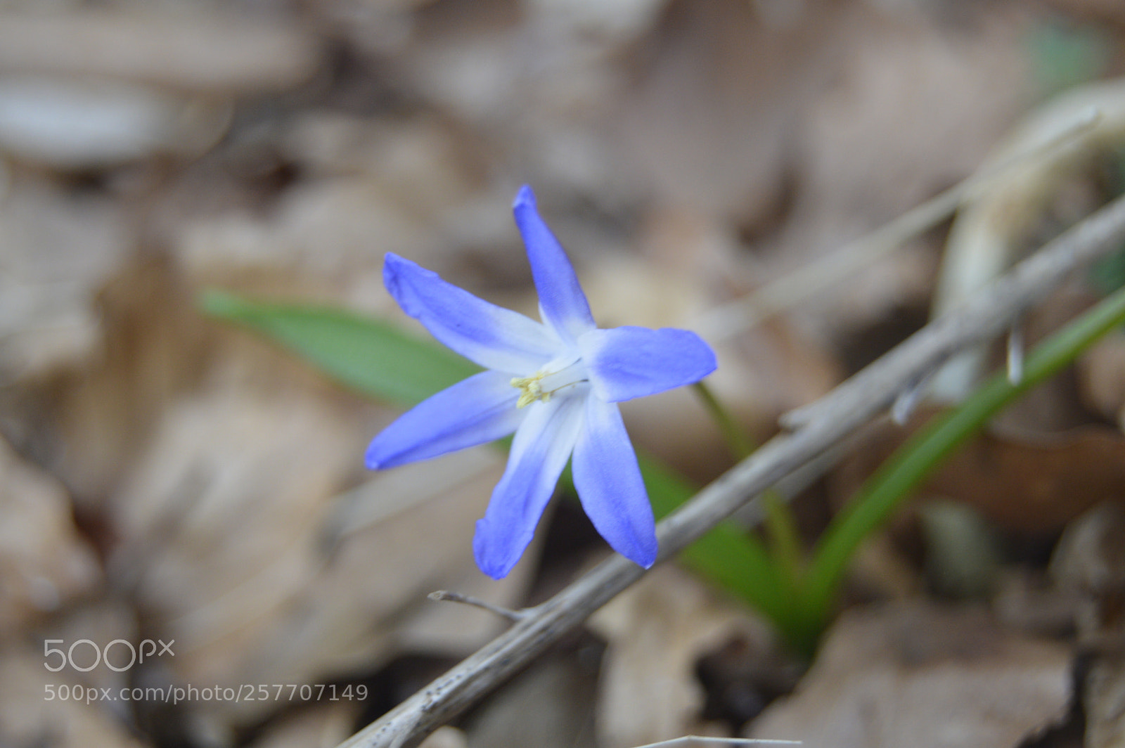 Nikon D3200 sample photo. Dansk natur photography
