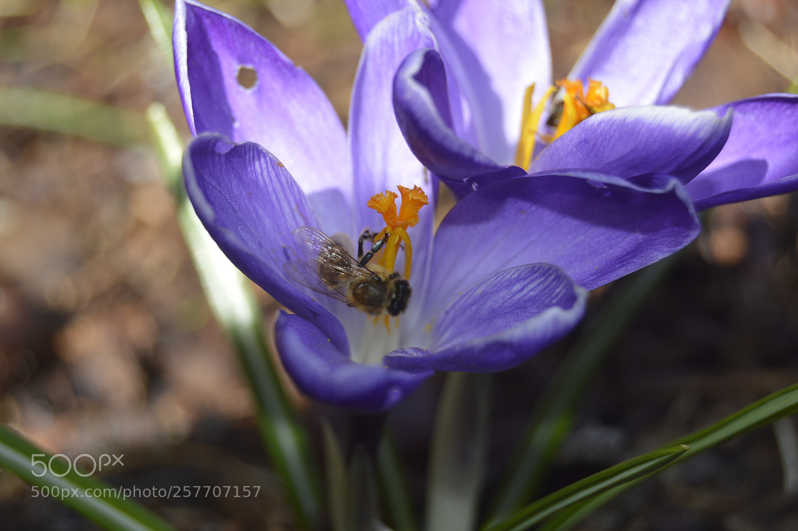 Nikon D3200 sample photo. Dansk natur photography