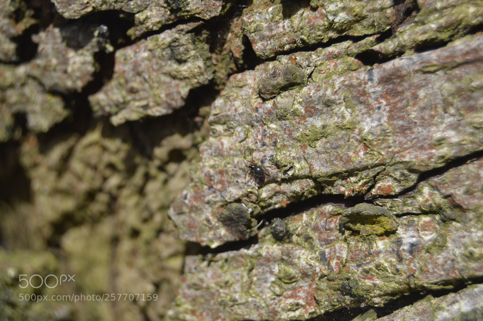 Nikon D3200 sample photo. Dansk natur photography