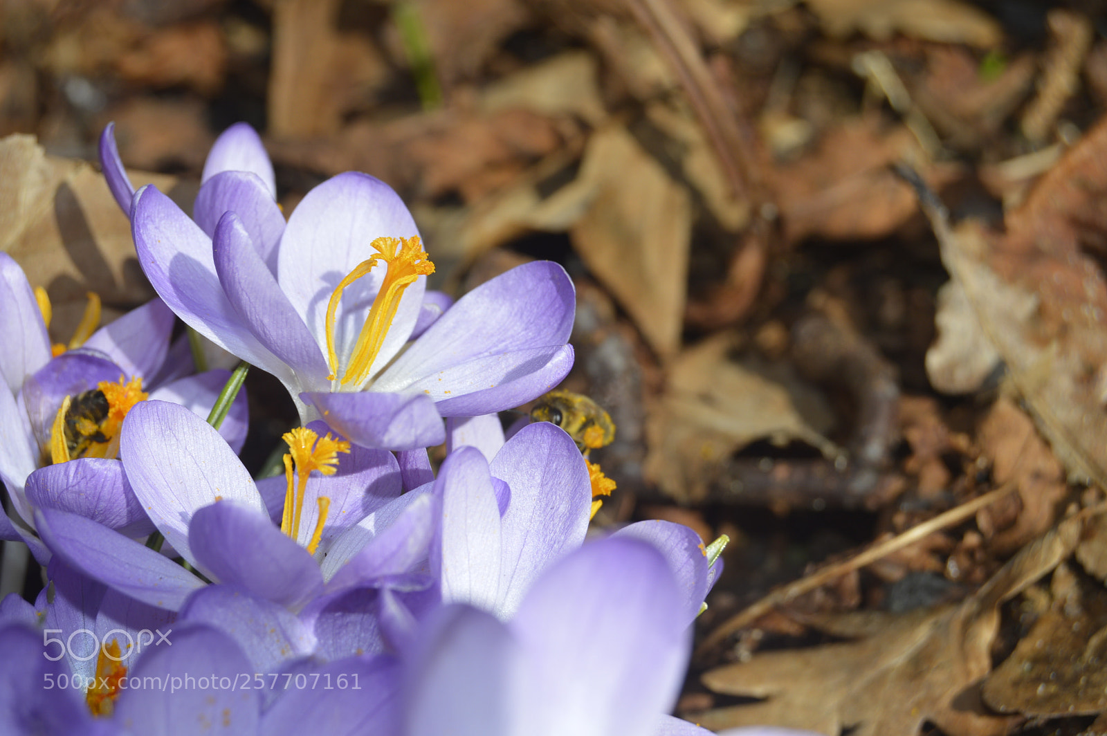 Nikon D3200 sample photo. Dansk natur photography