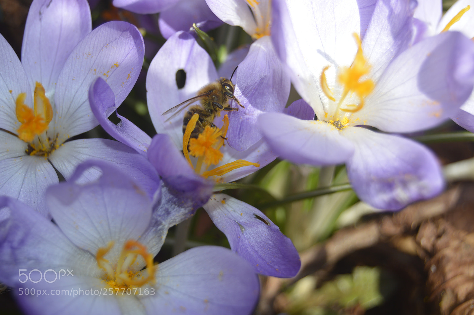 Nikon D3200 sample photo. Dansk natur photography