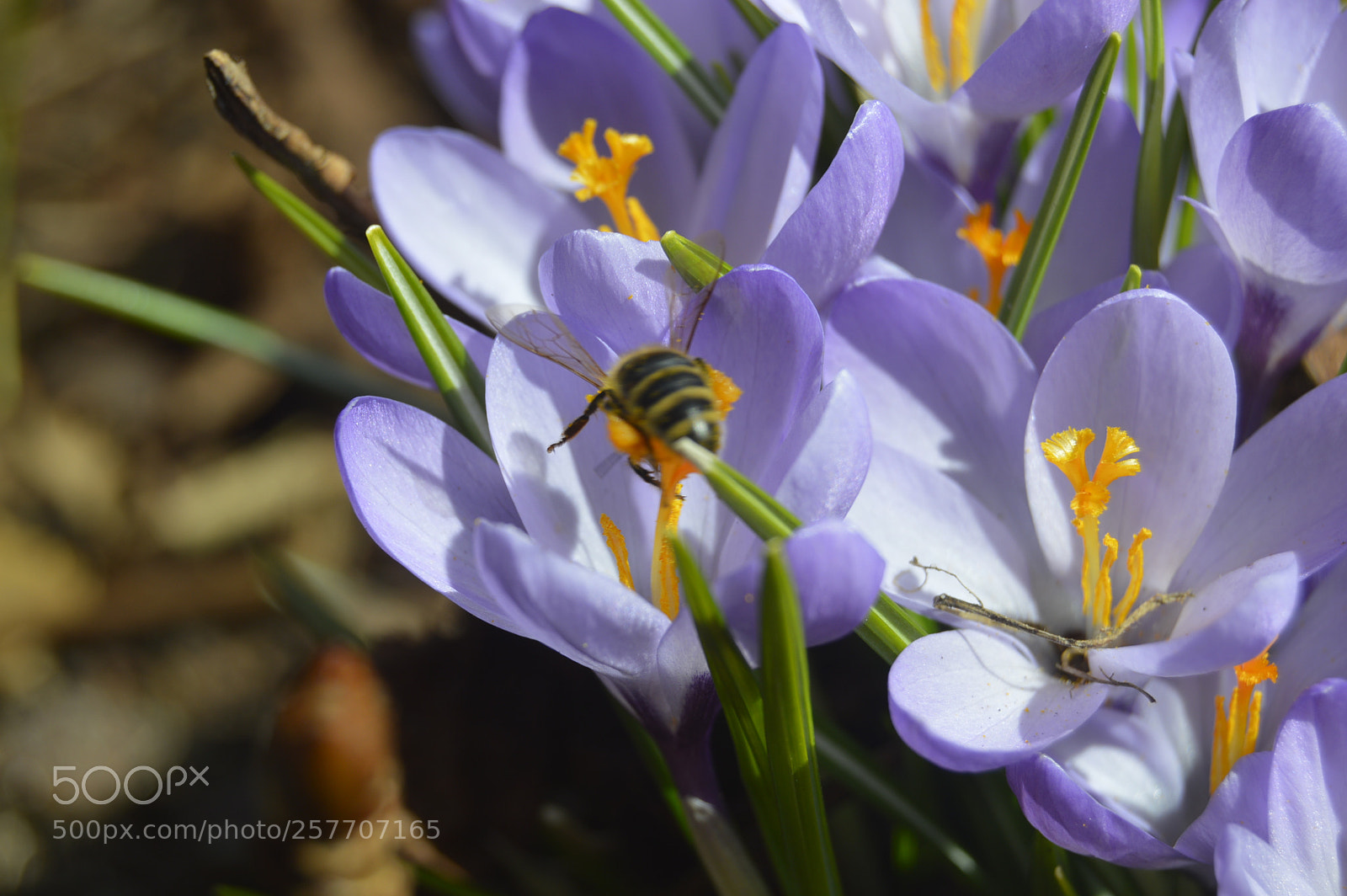 Nikon D3200 sample photo. Dansk natur photography