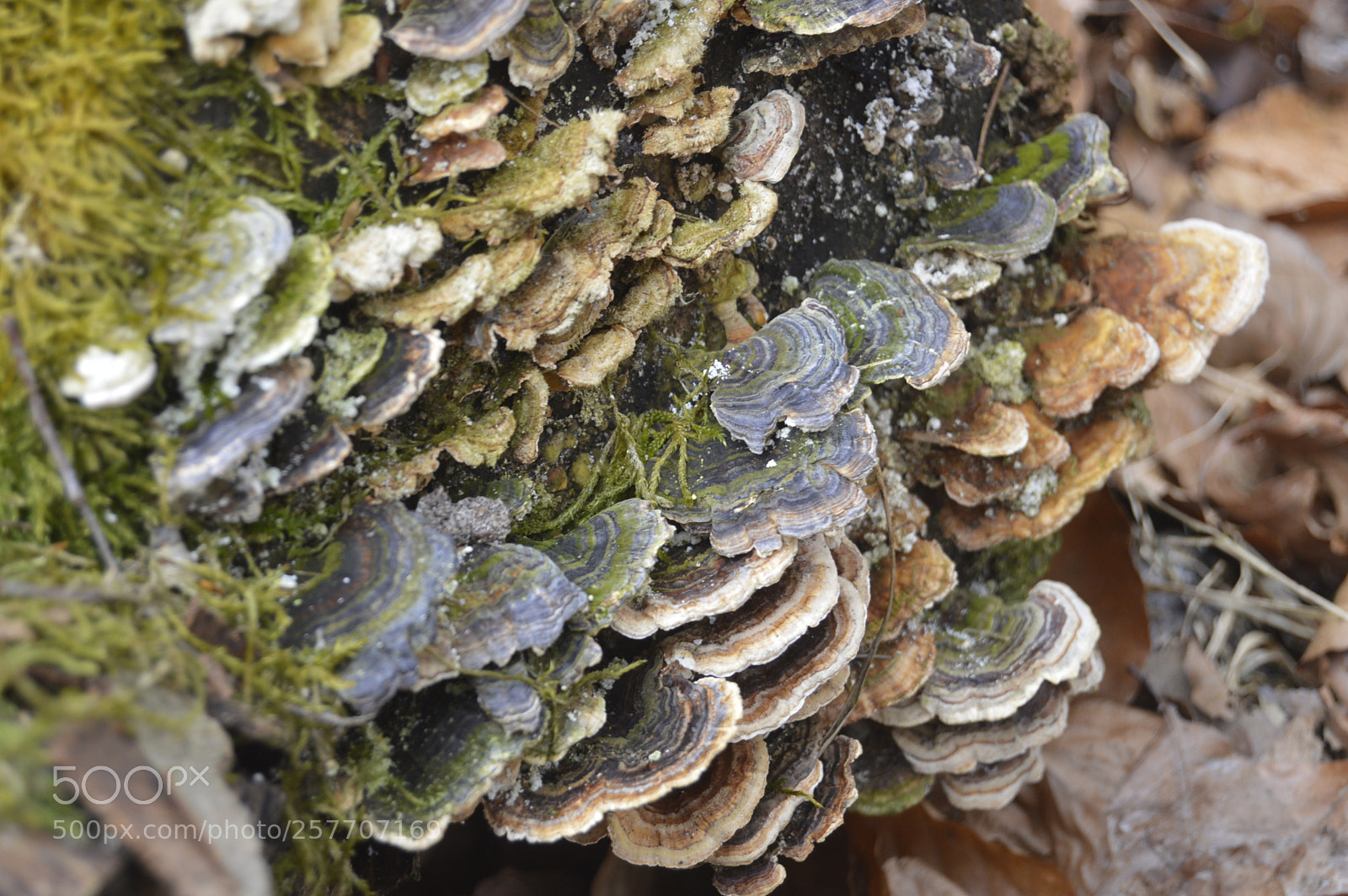 Nikon D3200 sample photo. Dansk natur photography