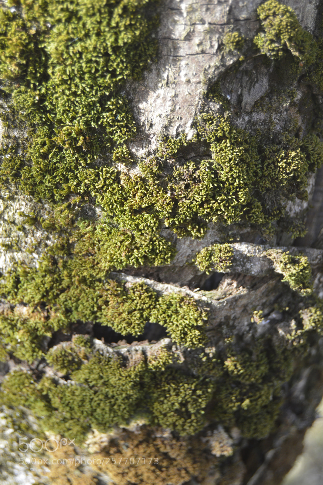 Nikon D3200 sample photo. Dansk natur photography