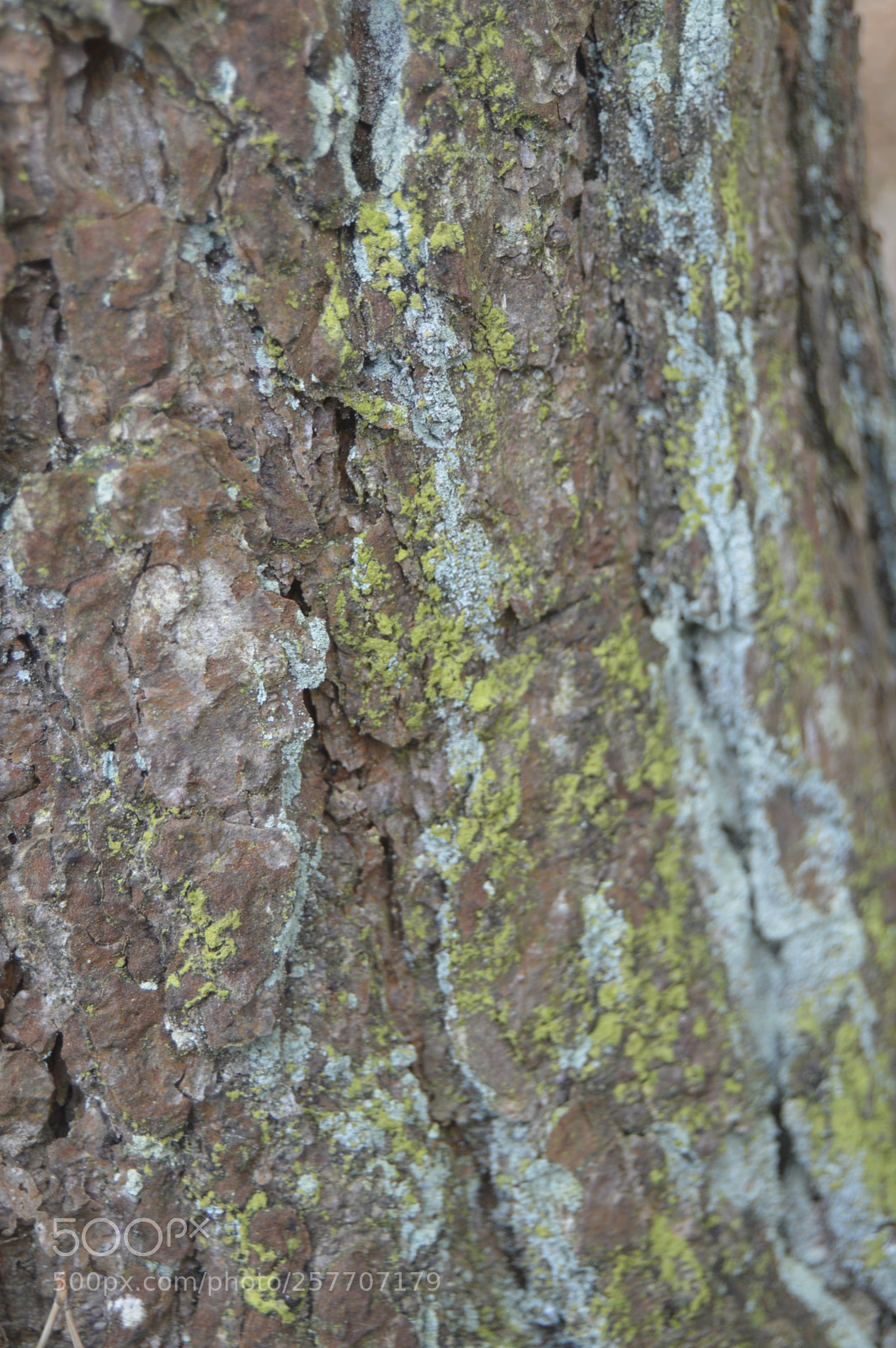 Nikon D3200 sample photo. Dansk natur photography