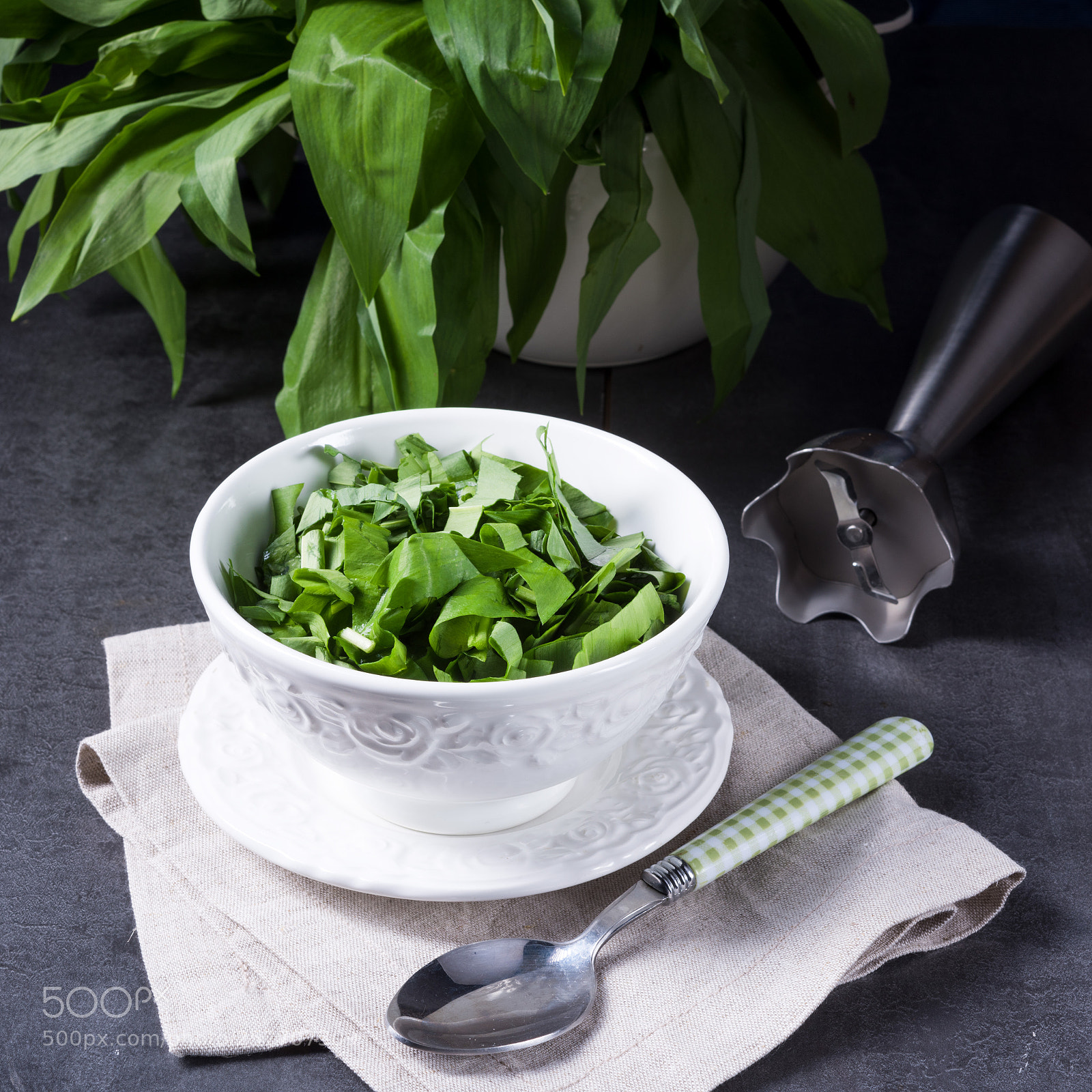Nikon D810 sample photo. Wild garlic stripes for photography