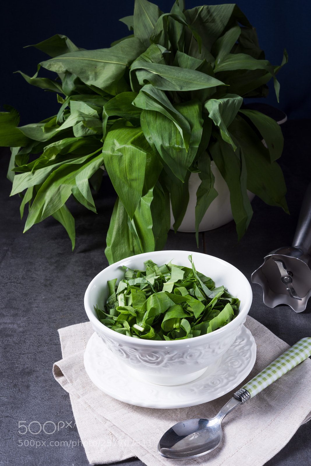 Nikon D810 sample photo. Wild garlic stripes for photography