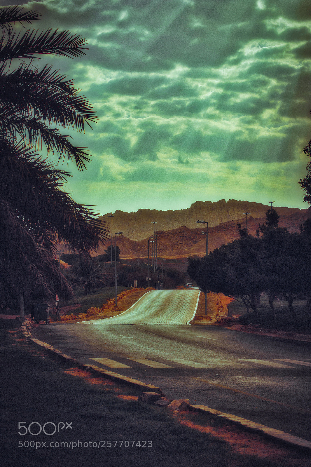 Nikon D5200 sample photo. Road to sunshine photography