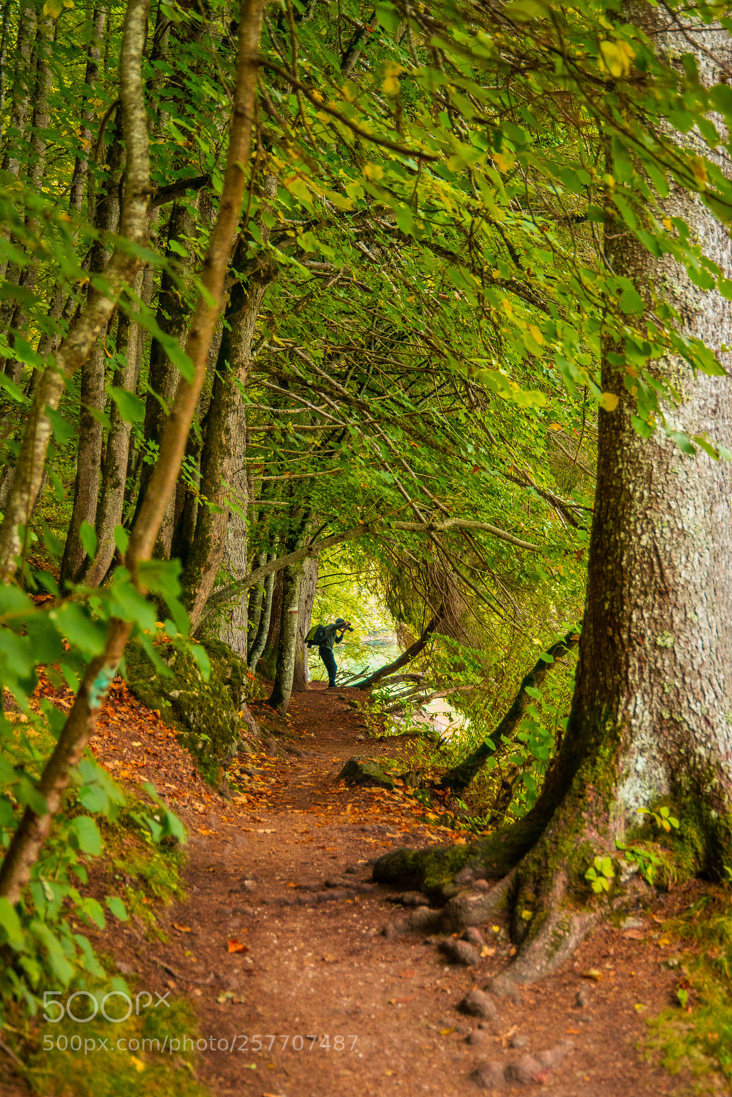Nikon D800E sample photo. Hunter photography