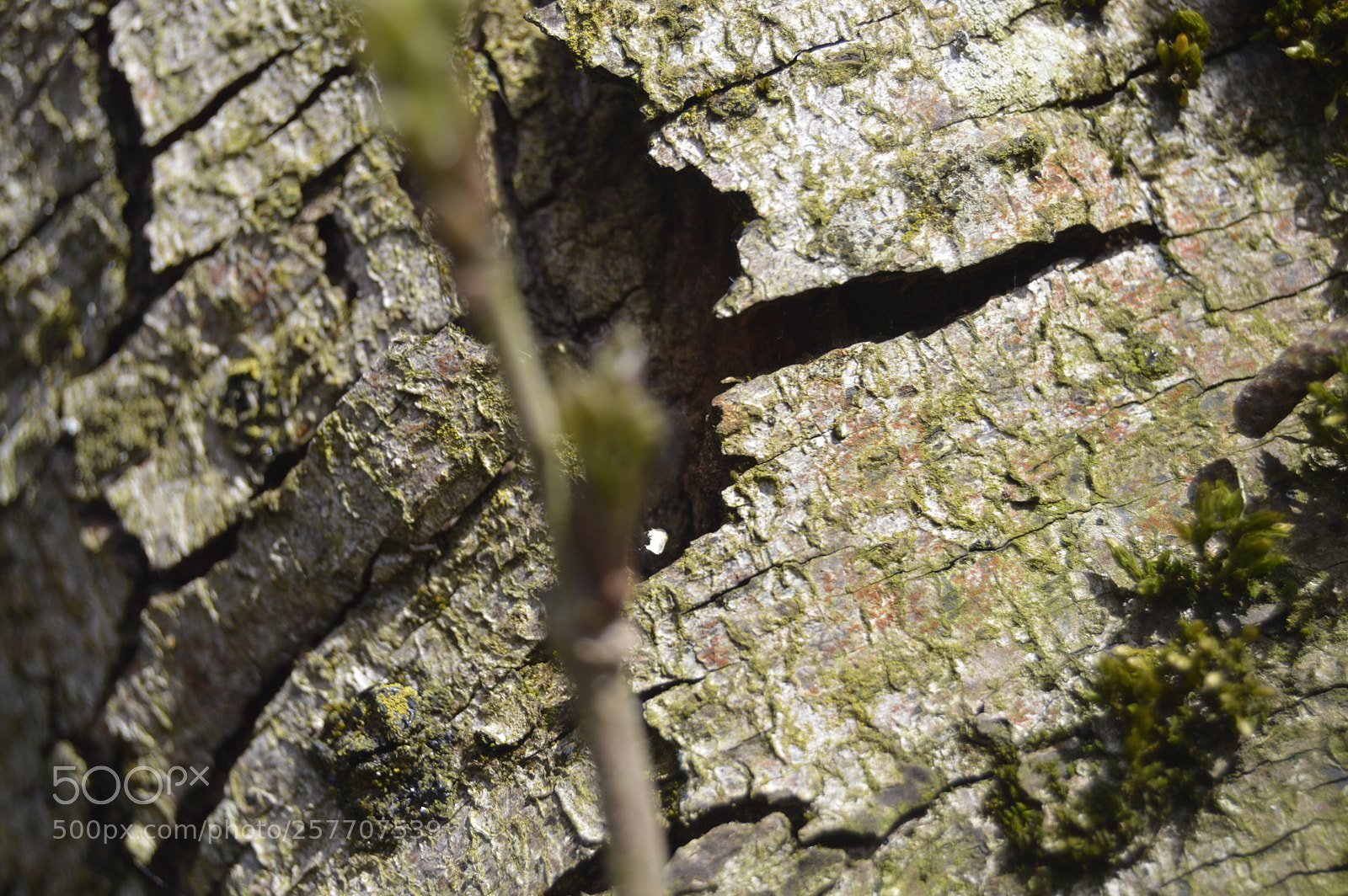 Nikon D3200 sample photo. Dansk natur photography