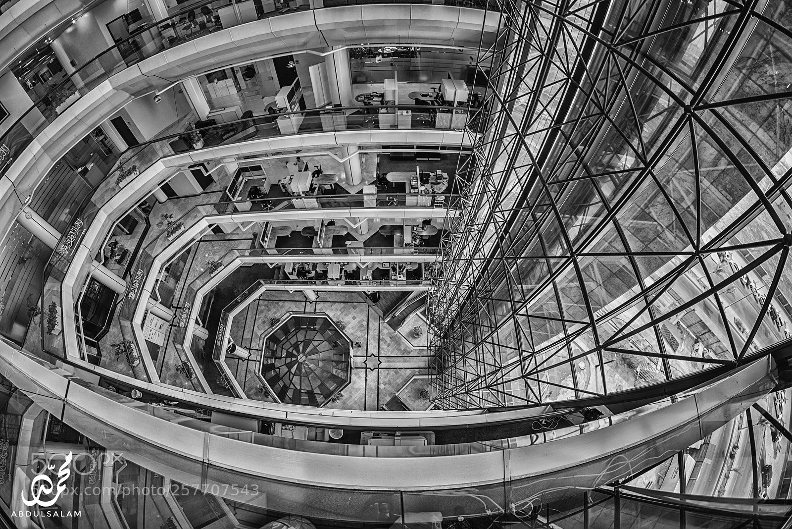 Nikon D610 sample photo. Bw photography
