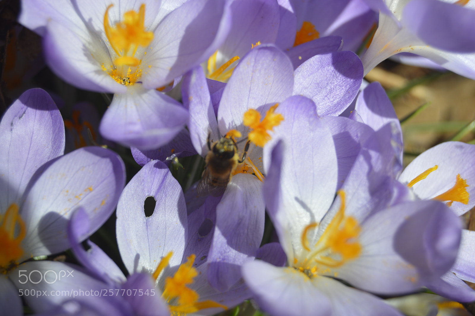 Nikon D3200 sample photo. Dansk natur photography