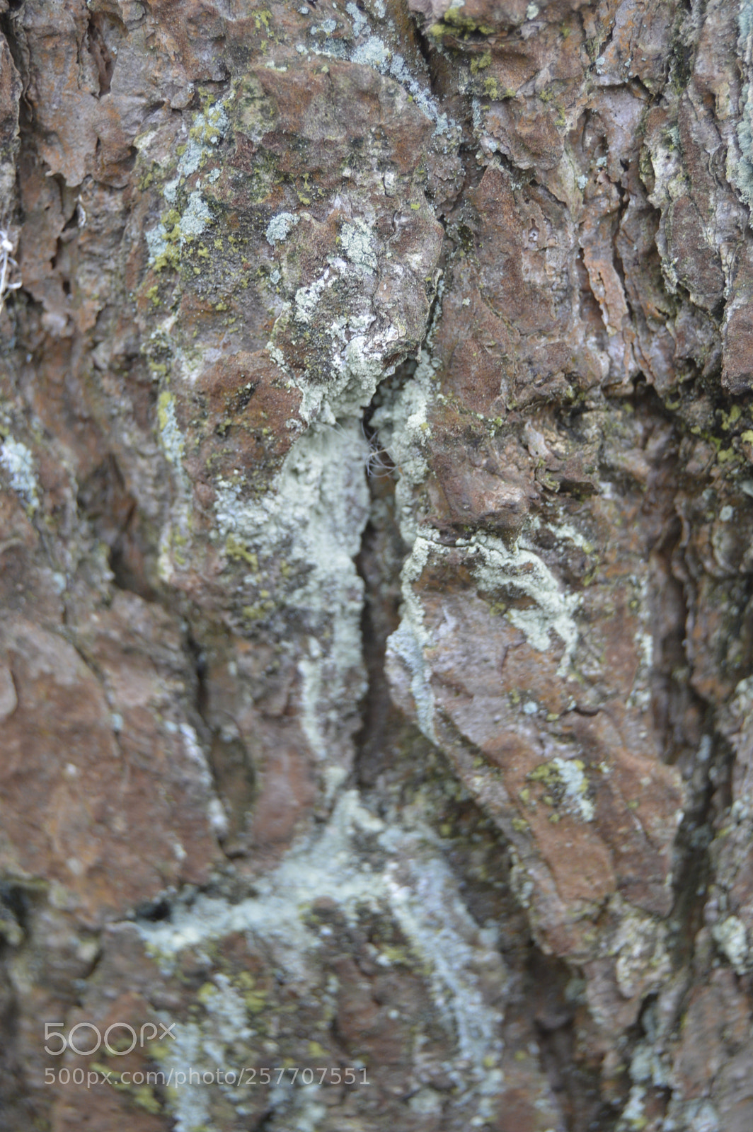 Nikon D3200 sample photo. Dansk natur photography