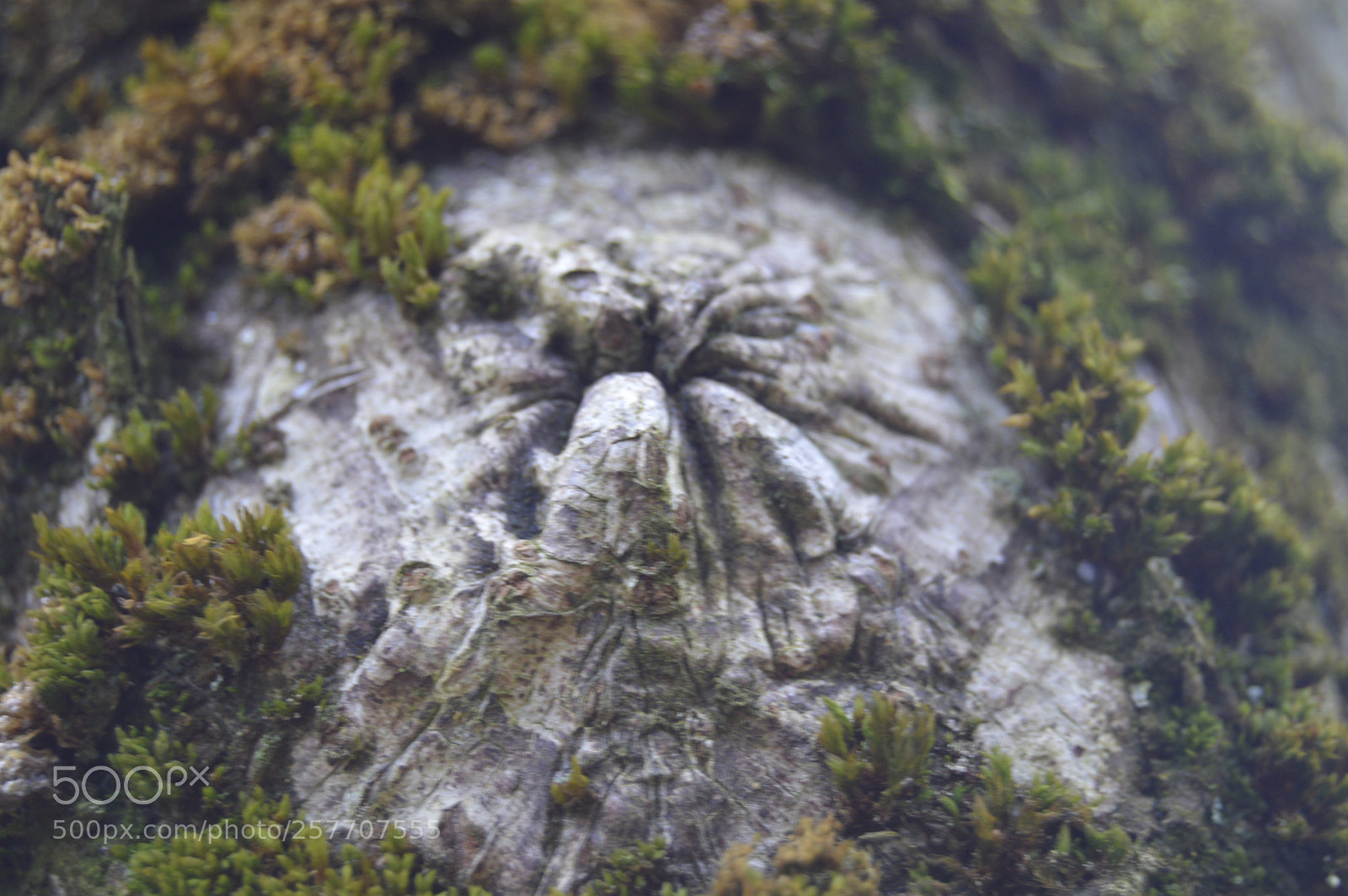 Nikon D3200 sample photo. Dansk natur photography
